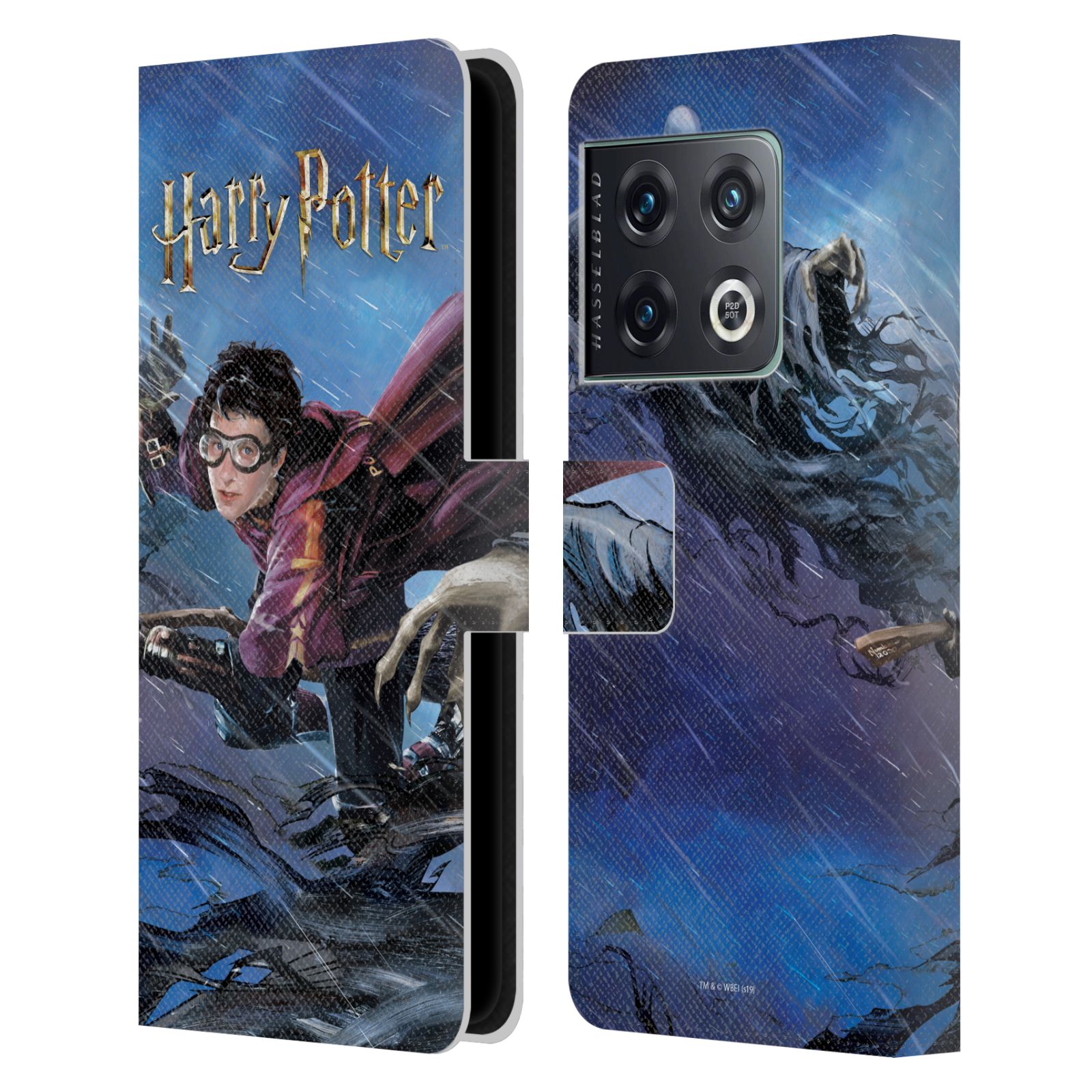 Pouzdro na mobil OnePlus 10 PRO - HEAD CASE - Harry Potter - Famfrpál