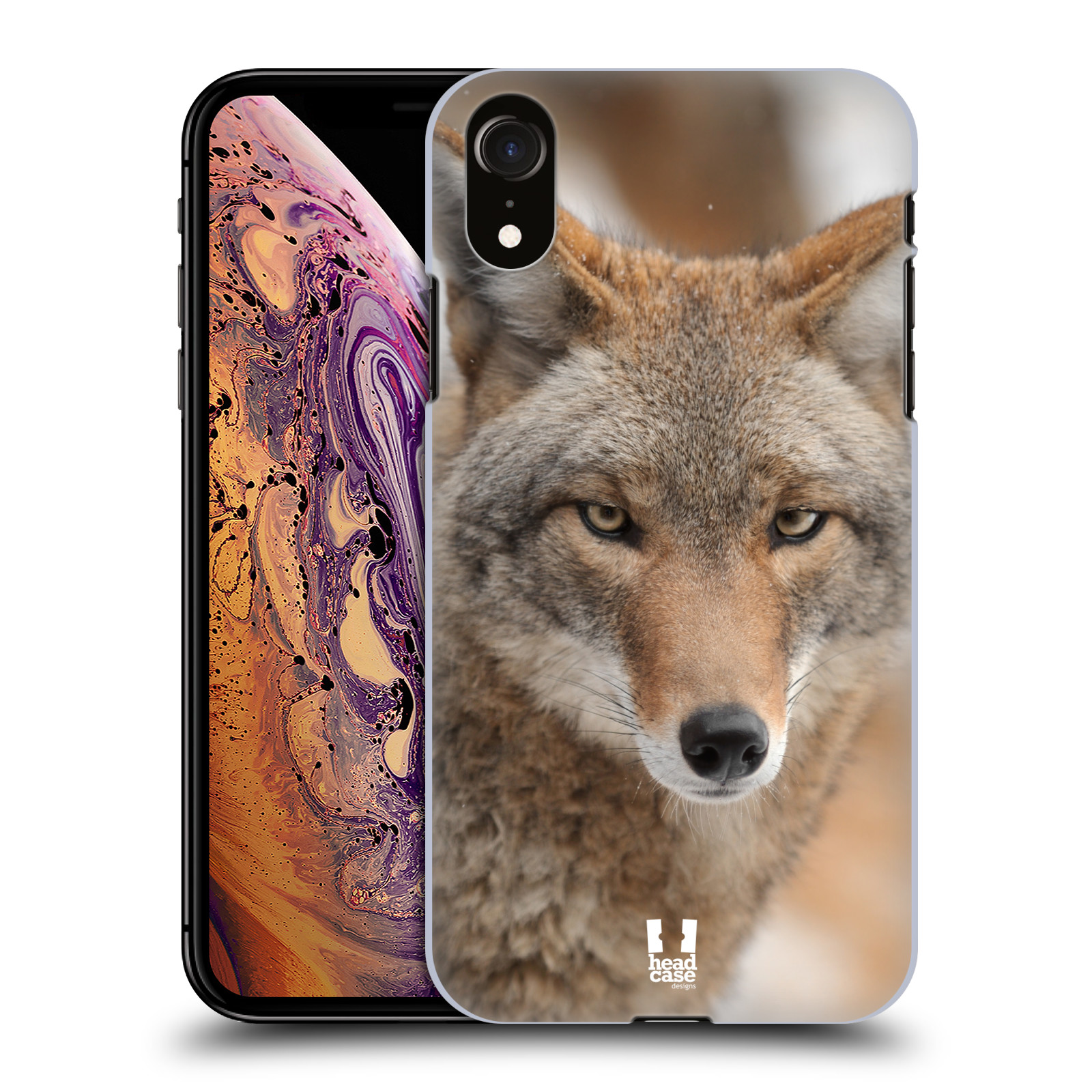 HEAD CASE plastový obal na mobil Apple Iphone XR vzor slavná zvířata foto kojot