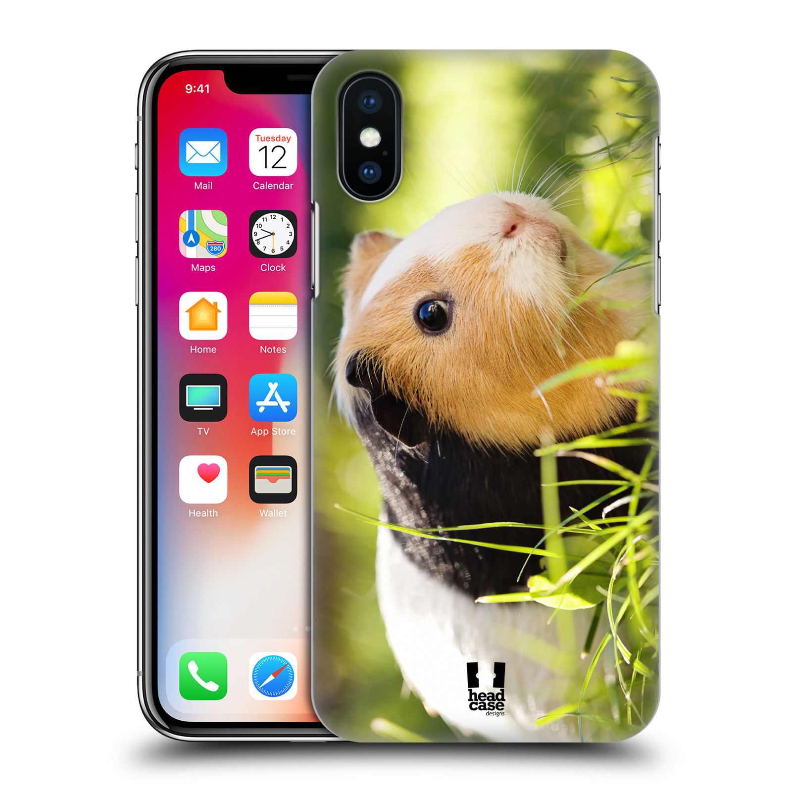 HEAD CASE plastový obal na mobil Apple Iphone X / XS vzor slavná zvířata foto morče