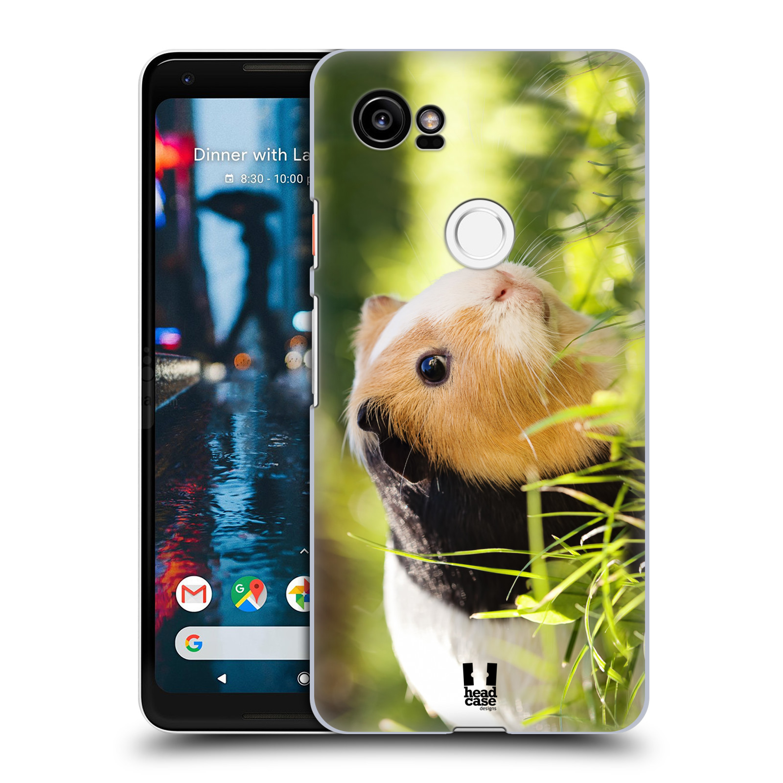 HEAD CASE plastový obal na mobil Google Pixel 2 XL vzor slavná zvířata foto morče