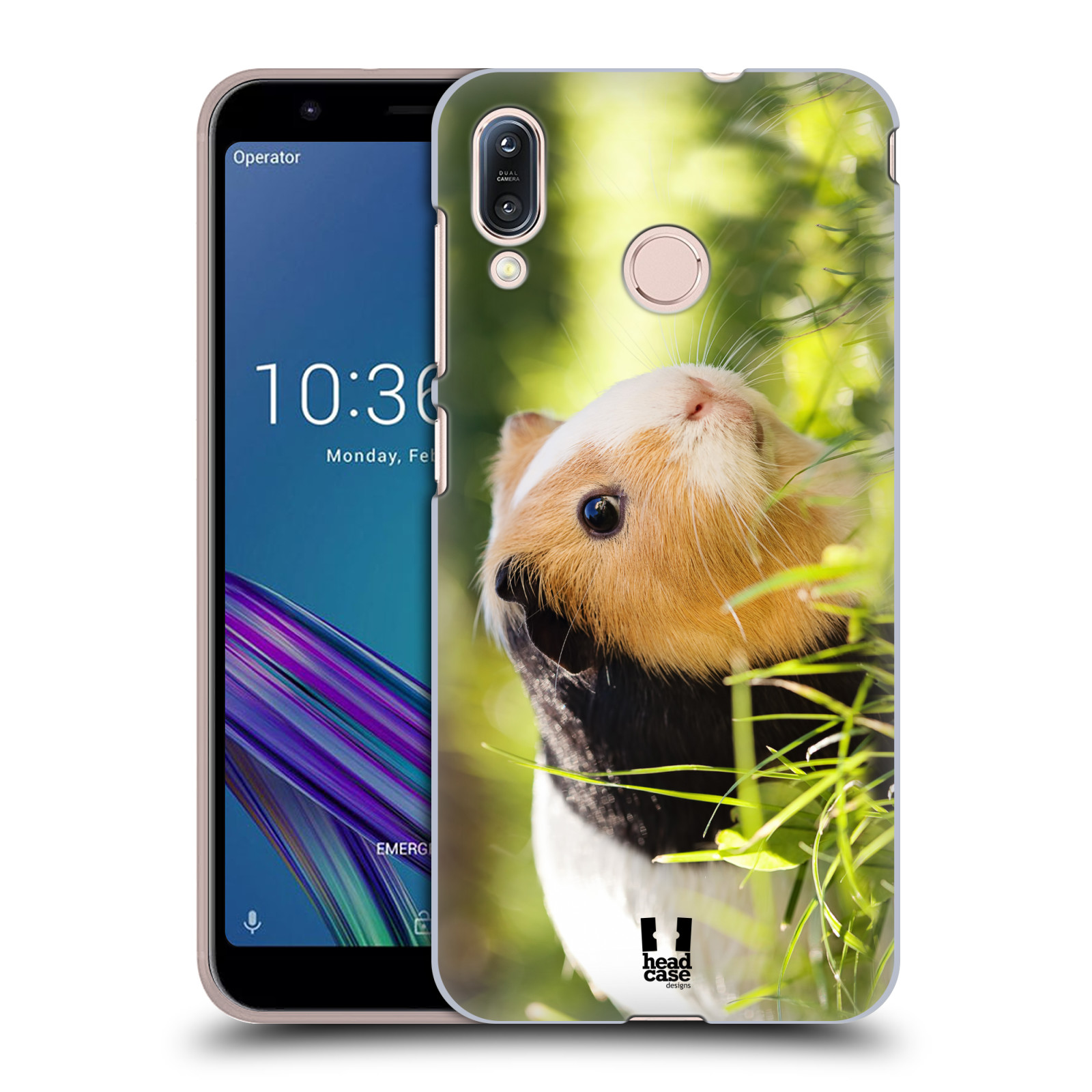 Pouzdro na mobil Asus Zenfone Max M1 (ZB555KL) - HEAD CASE - vzor slavná zvířata foto morče