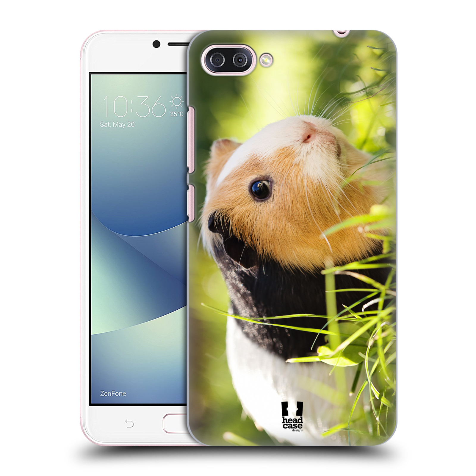 HEAD CASE plastový obal na mobil Asus Zenfone 4 MAX ZC554KL vzor slavná zvířata foto morče