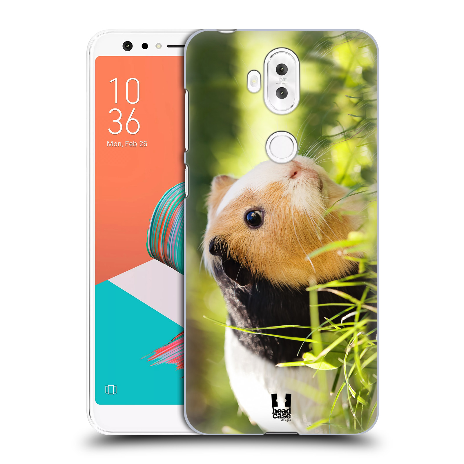 HEAD CASE plastový obal na mobil Asus Zenfone 5 LITE ZC600KL vzor slavná zvířata foto morče