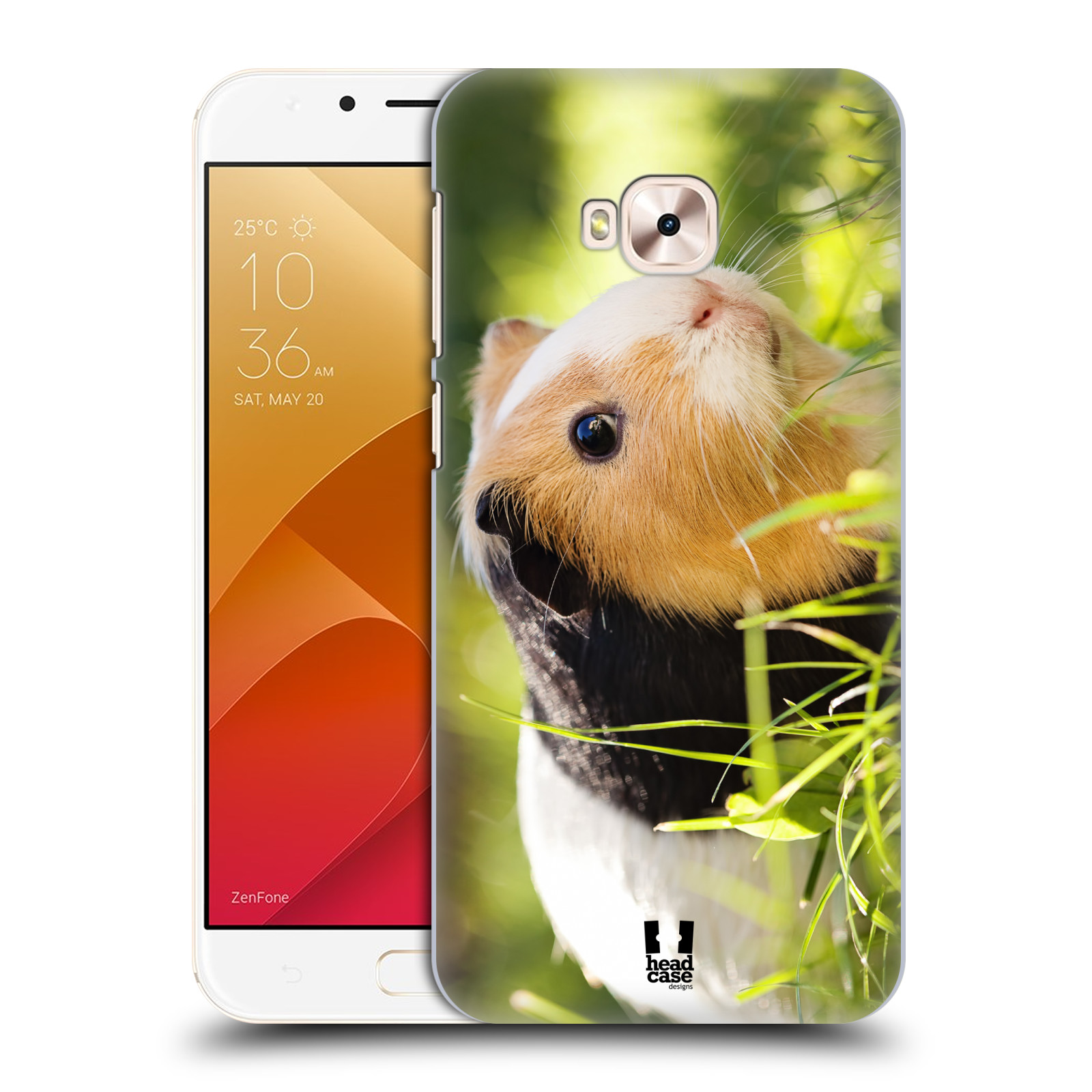 HEAD CASE plastový obal na mobil Asus Zenfone 4 Selfie Pro ZD552KL vzor slavná zvířata foto morče