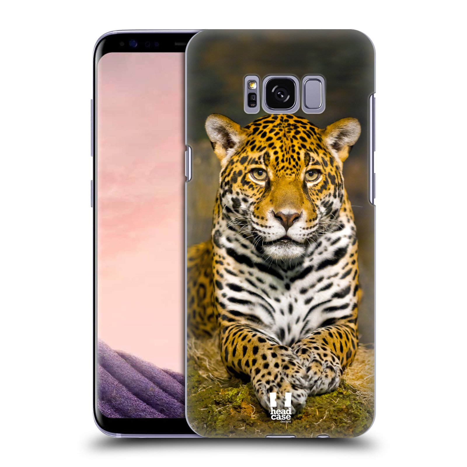 HEAD CASE plastový obal na mobil Samsung Galaxy S8 vzor slavná zvířata foto jaguár