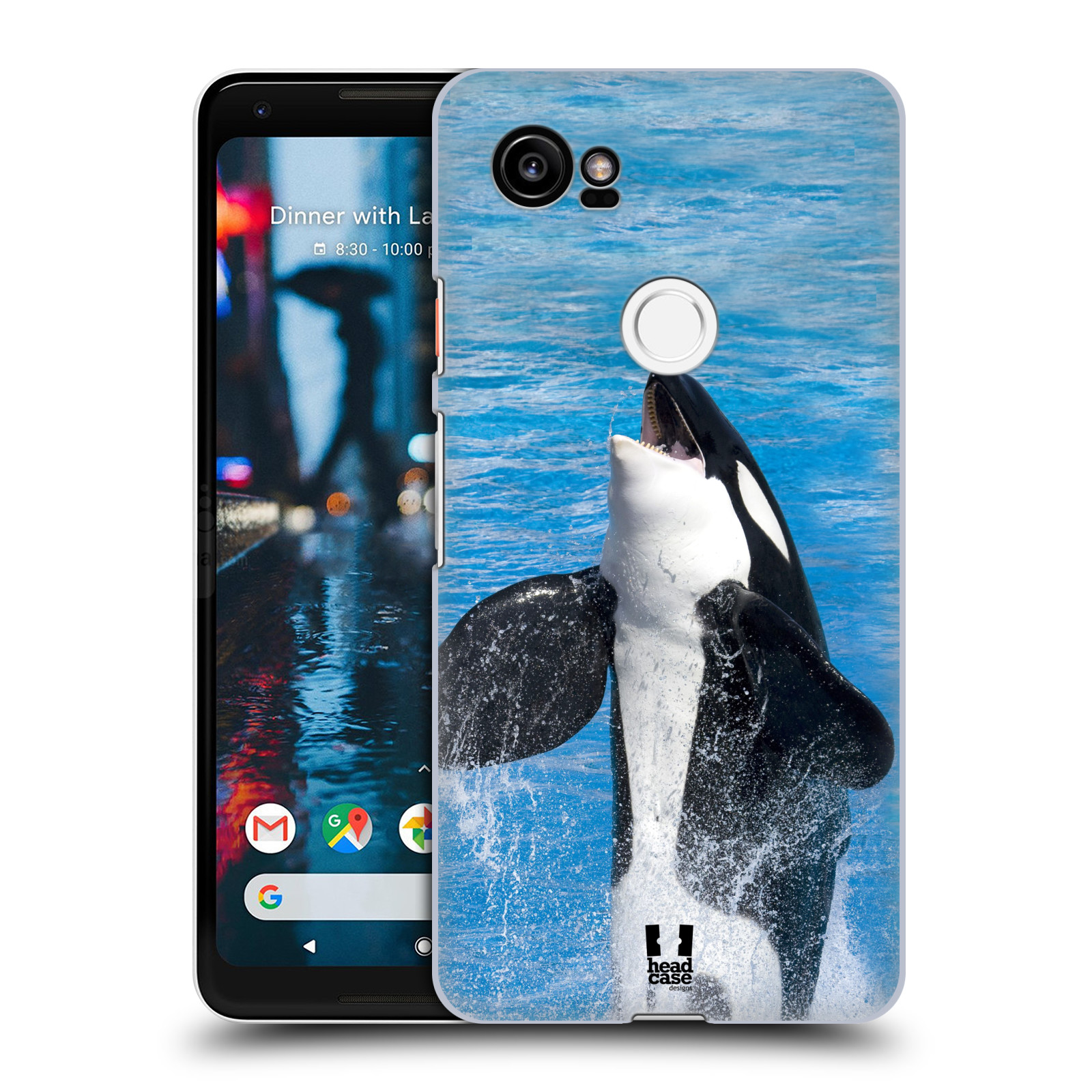 HEAD CASE plastový obal na mobil Google Pixel 2 XL vzor slavná zvířata foto velryba