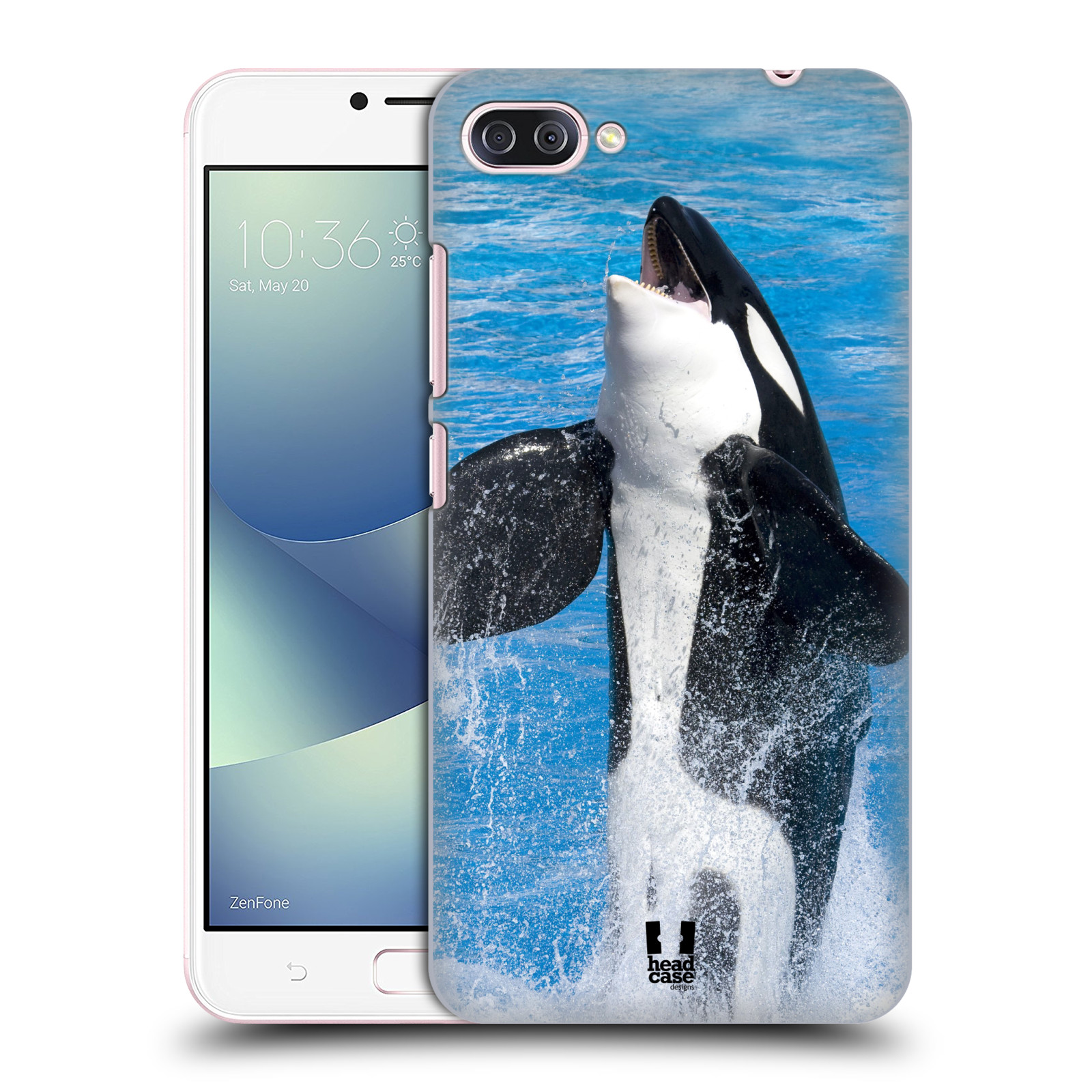 HEAD CASE plastový obal na mobil Asus Zenfone 4 MAX ZC554KL vzor slavná zvířata foto velryba