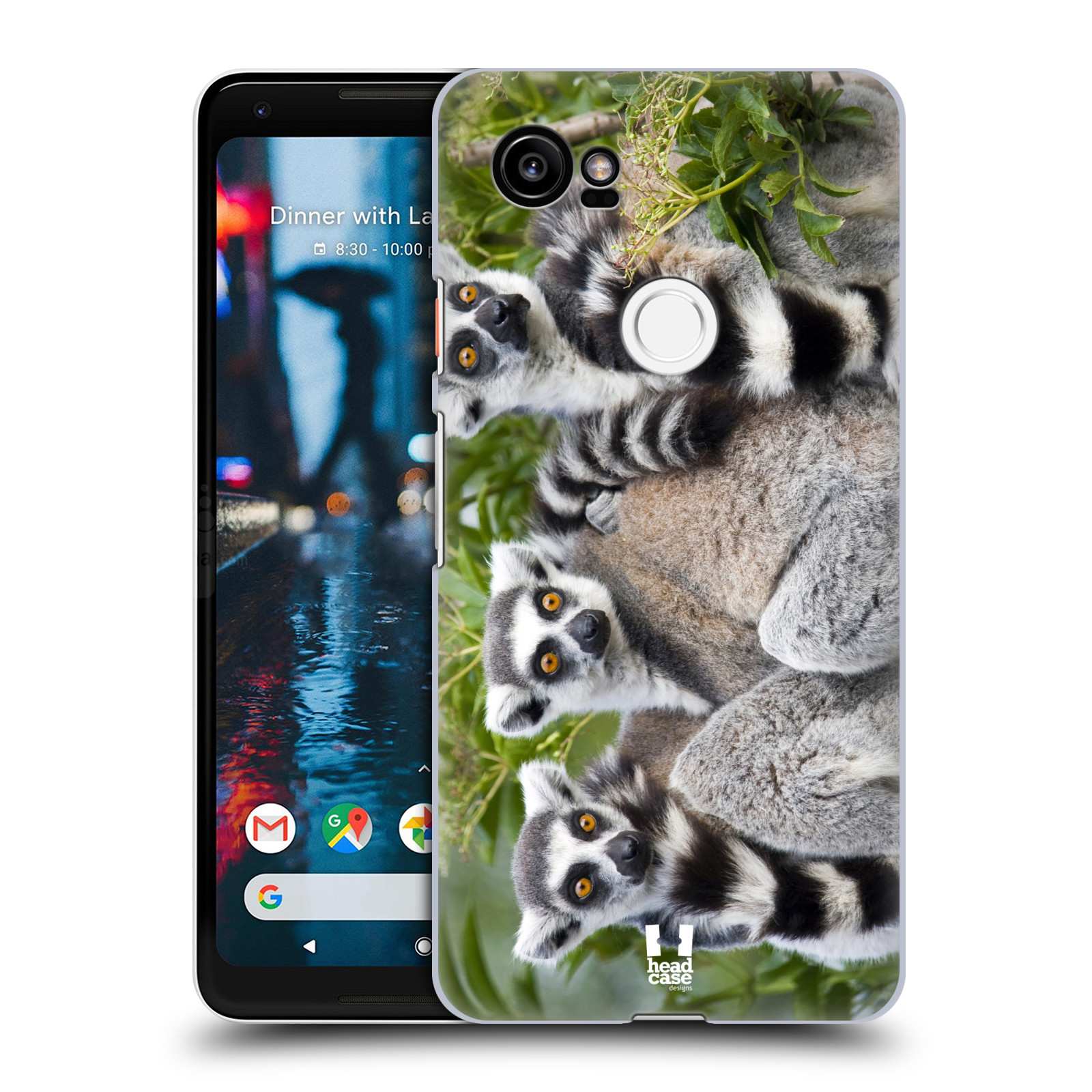 HEAD CASE plastový obal na mobil Google Pixel 2 XL vzor slavná zvířata foto lemur