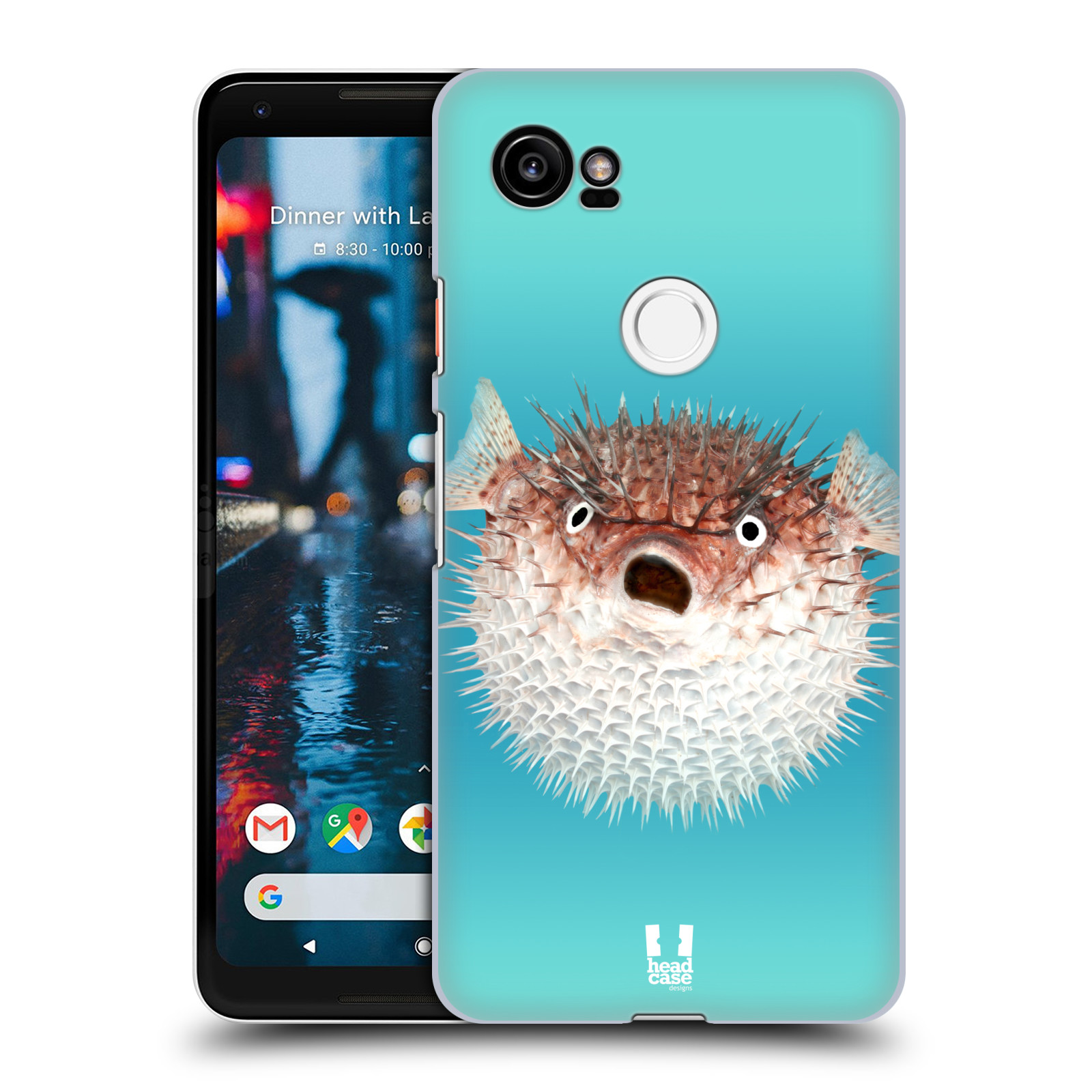 HEAD CASE plastový obal na mobil Google Pixel 2 XL vzor slavná zvířata foto ježík hnědý