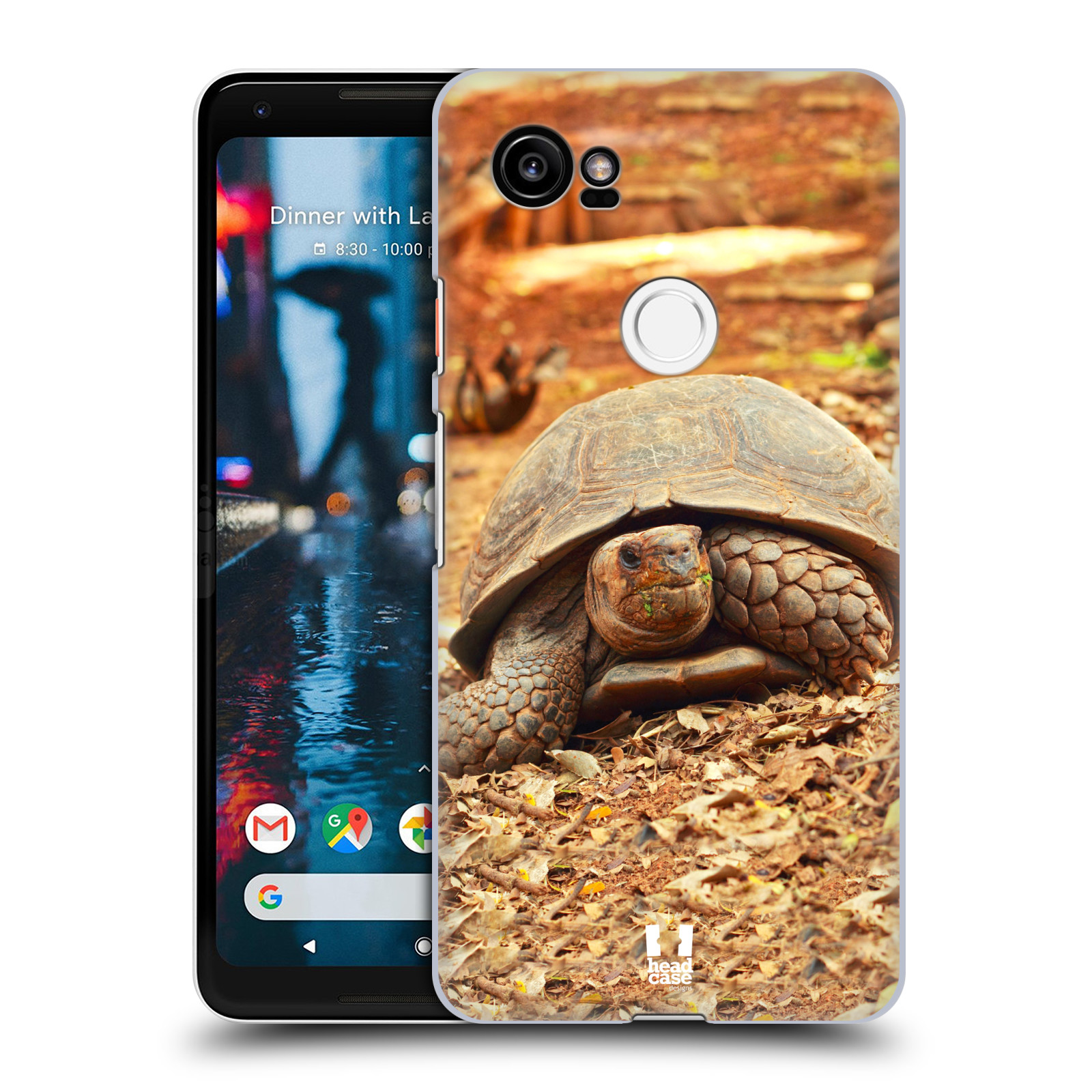 HEAD CASE plastový obal na mobil Google Pixel 2 XL vzor slavná zvířata foto želva