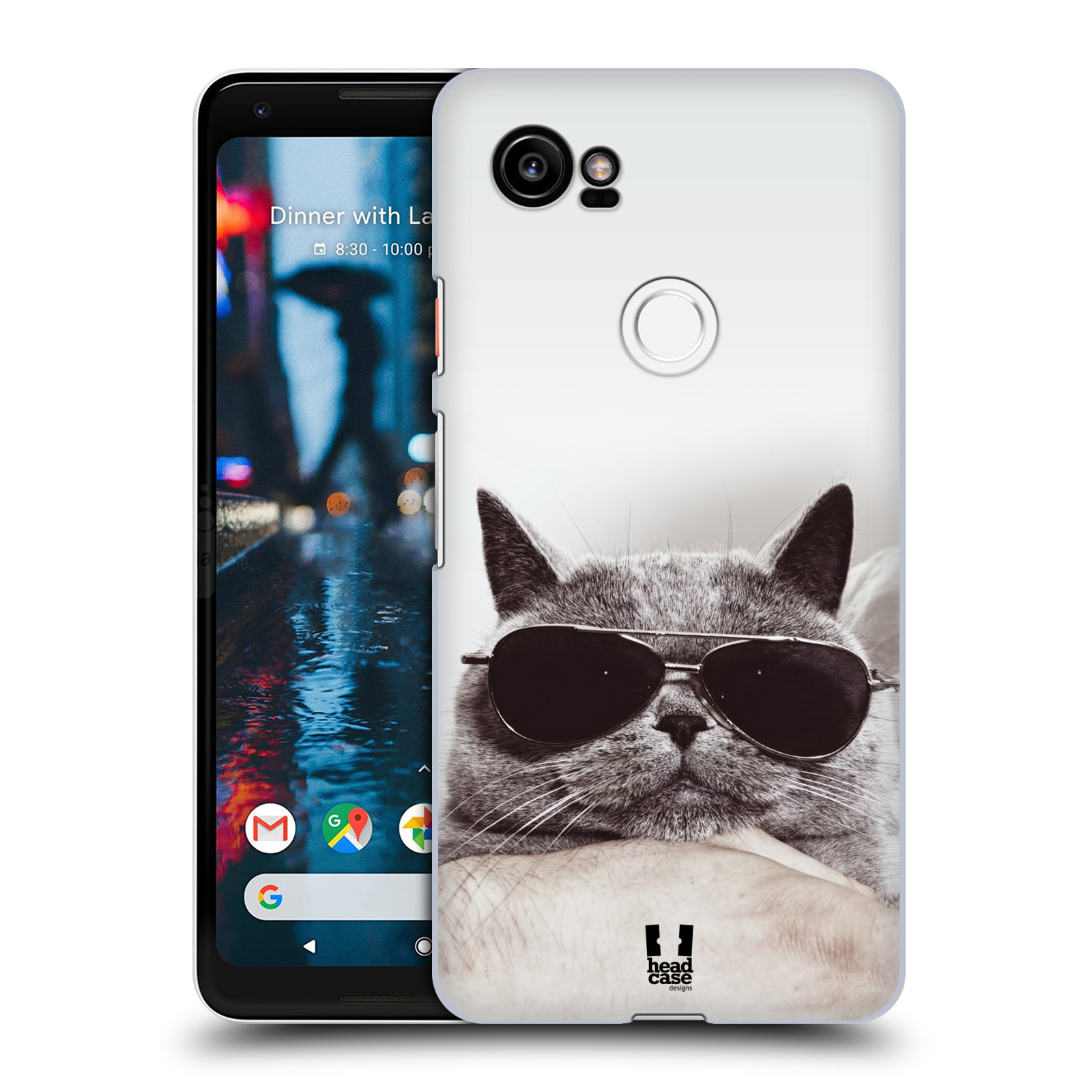 HEAD CASE plastový obal na mobil Google Pixel 2 XL vzor Kočičky koťata foto Britská kočka v brýlích