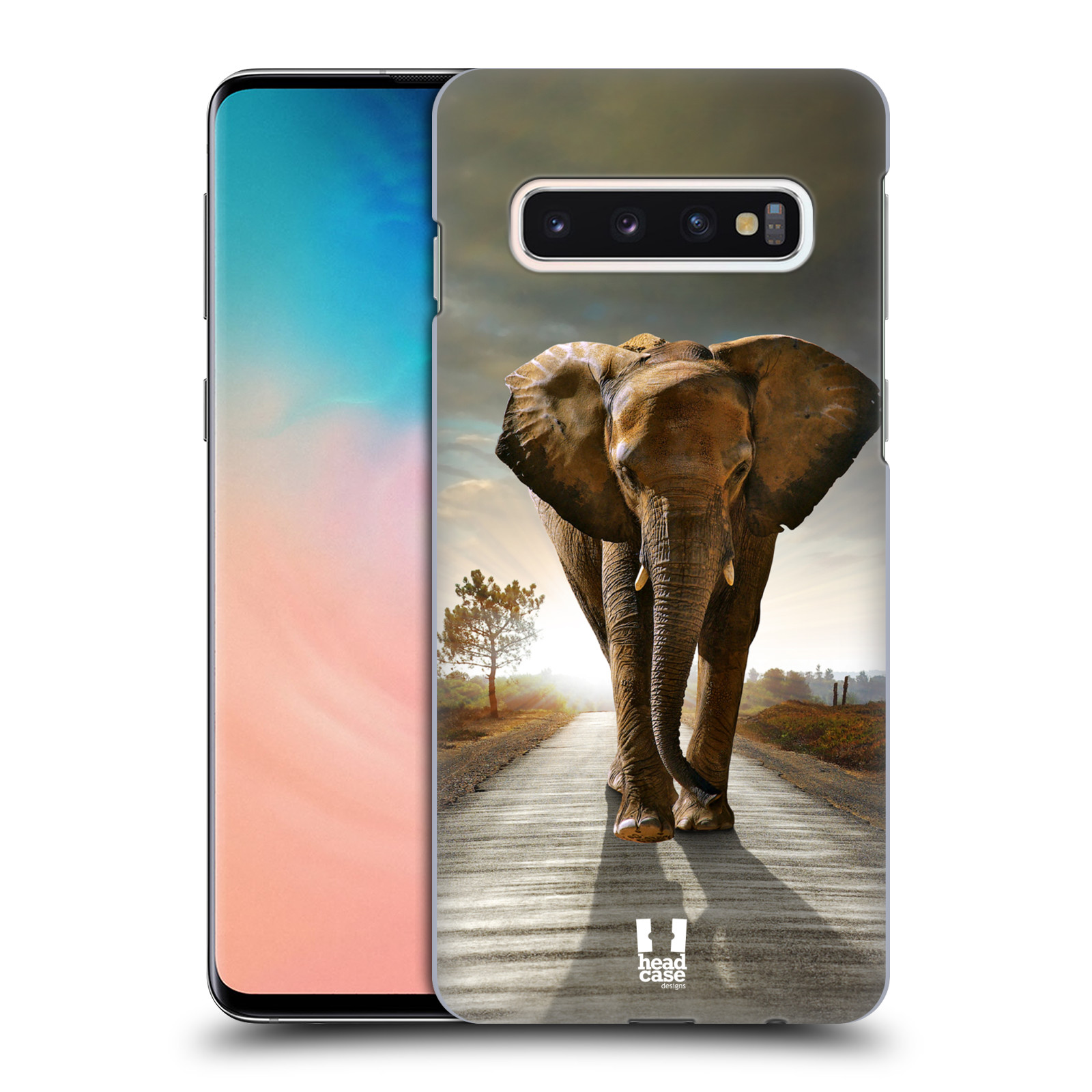Zadní obal pro mobil Samsung Galaxy S10 - HEAD CASE - Svět zvířat kráčející slon