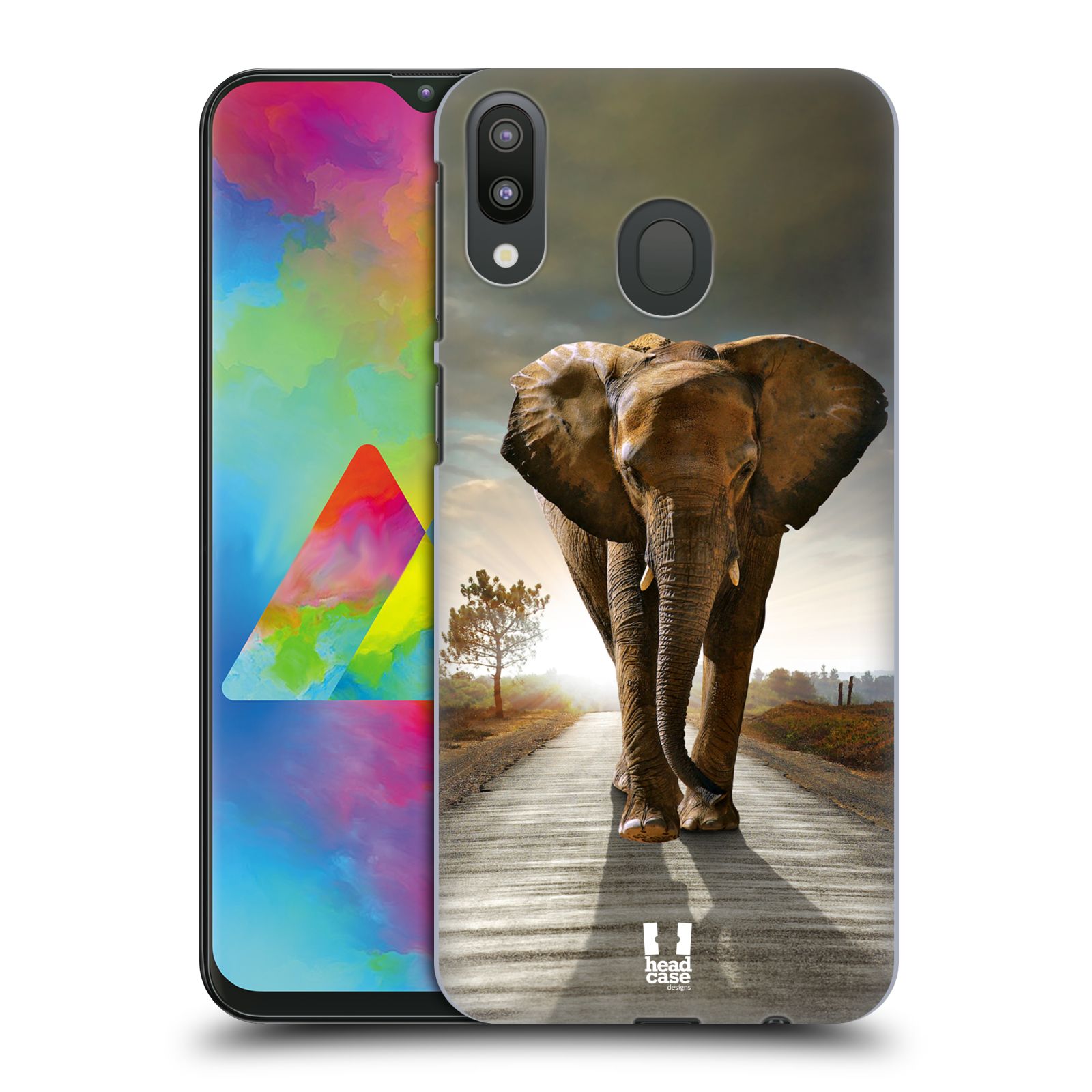 Zadní obal pro mobil Samsung Galaxy M20 - HEAD CASE - Svět zvířat kráčející slon