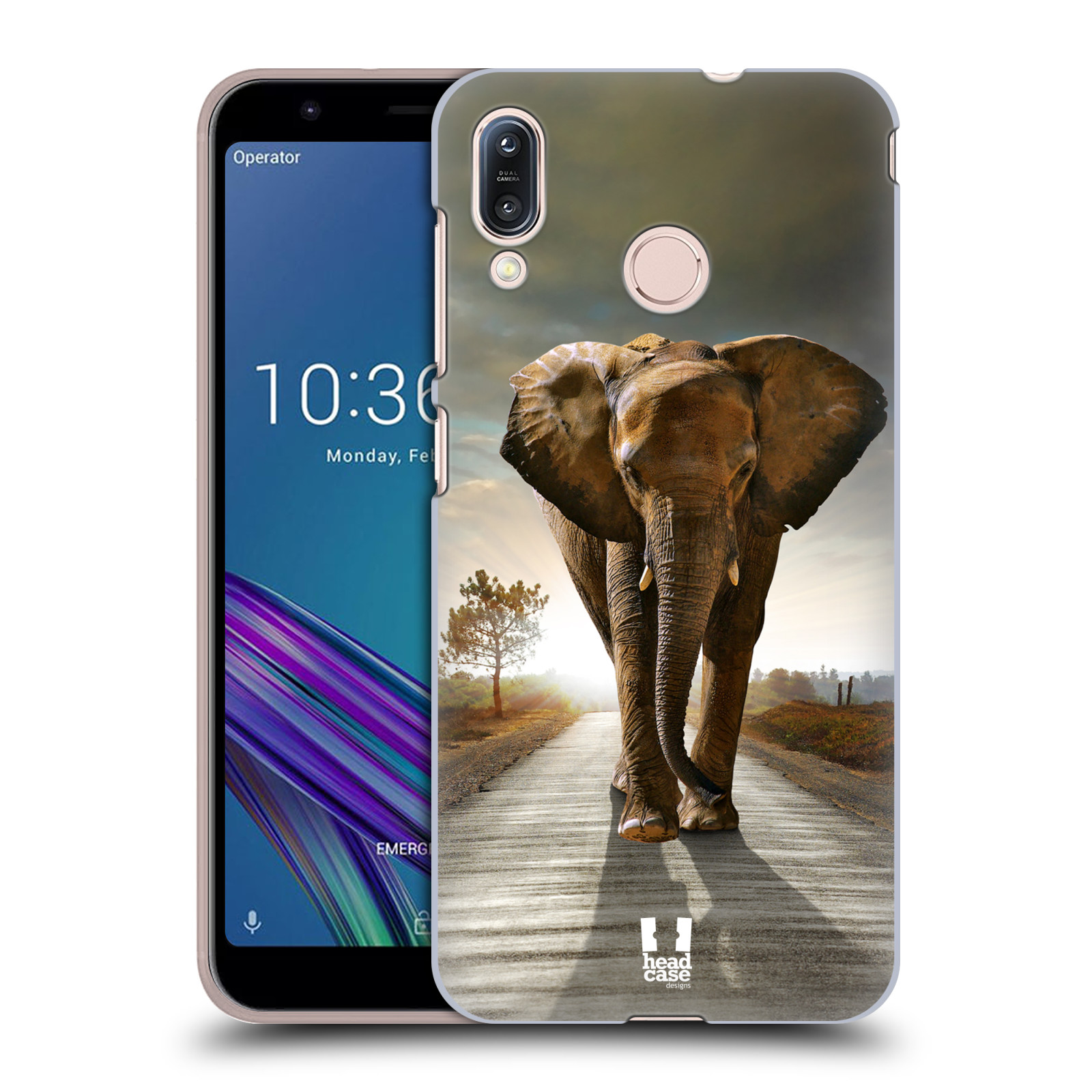 Zadní obal pro mobil Asus Zenfone Max (M1) ZB555KL - HEAD CASE - Svět zvířat kráčející slon