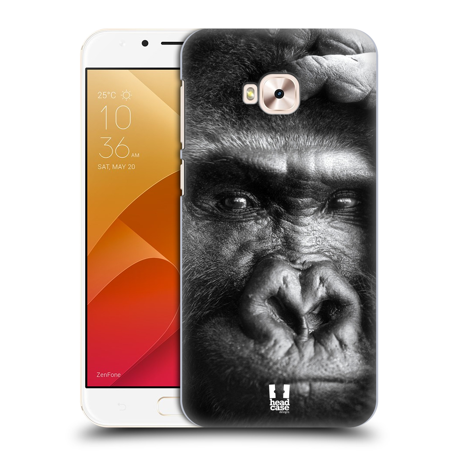 HEAD CASE plastový obal na mobil Asus Zenfone 4 Selfie Pro ZD552KL vzor Divočina, Divoký život a zvířata foto GORILA TVÁŘ