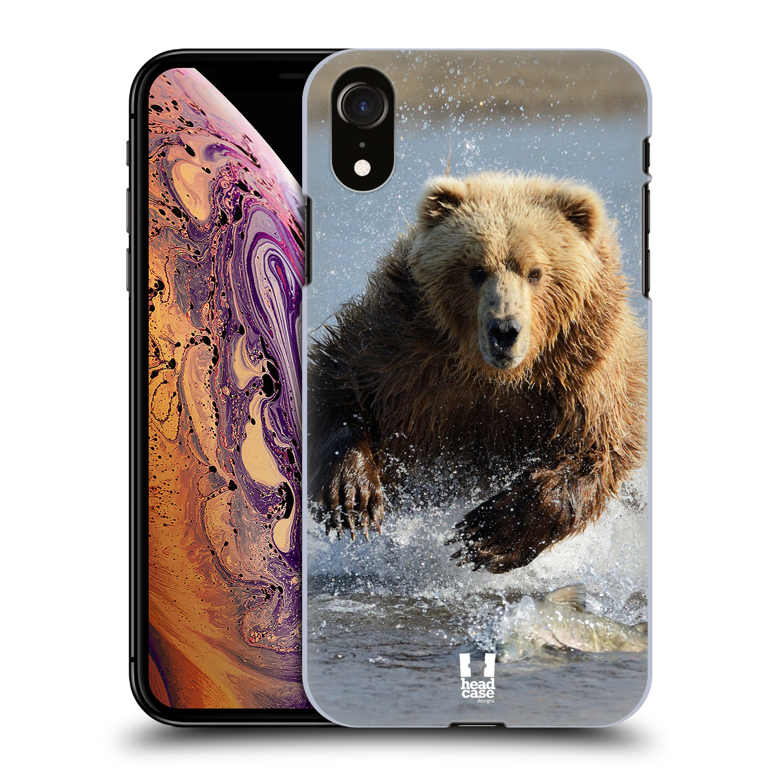 HEAD CASE plastový obal na mobil Apple Iphone XR vzor Divočina, Divoký život a zvířata foto MEDVĚD GRIZZLY HŇEDÁ