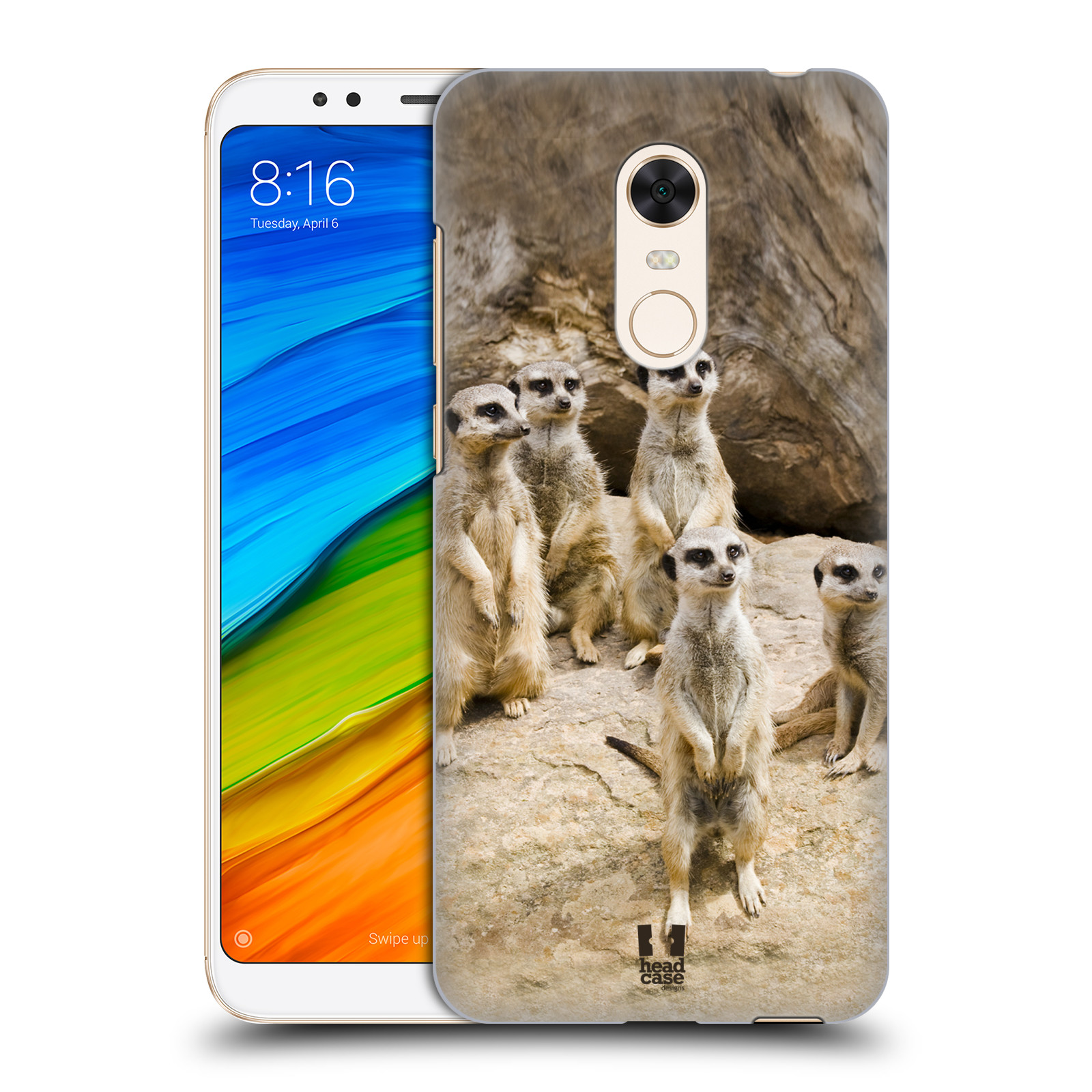 HEAD CASE plastový obal na mobil Xiaomi Redmi 5 PLUS vzor Divočina, Divoký život a zvířata foto SURIKATA