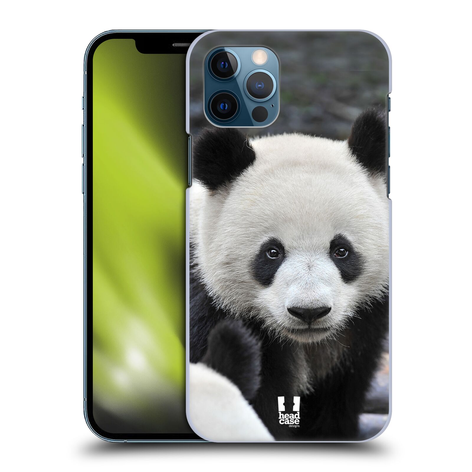 HEAD CASE plastový obal na mobil Apple Iphone 12 / Iphone 12 PRO vzor Divočina, Divoký život a zvířata foto MEDVĚD PANDA