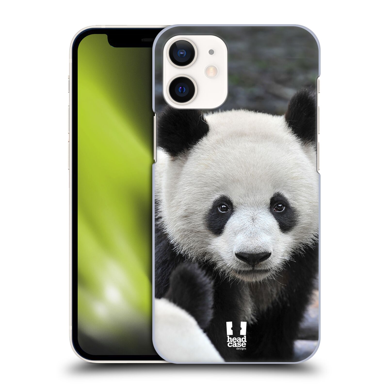 Plastový obal na mobil Apple Iphone 12 MINI vzor Divočina, Divoký život a zvířata foto MEDVĚD PANDA