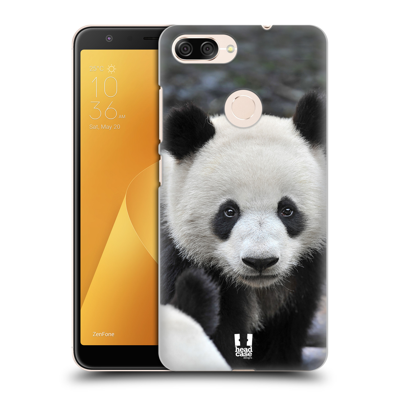 Zadní obal pro mobil Asus Zenfone Max Plus (M1) - HEAD CASE - Svět zvířat medvěd panda