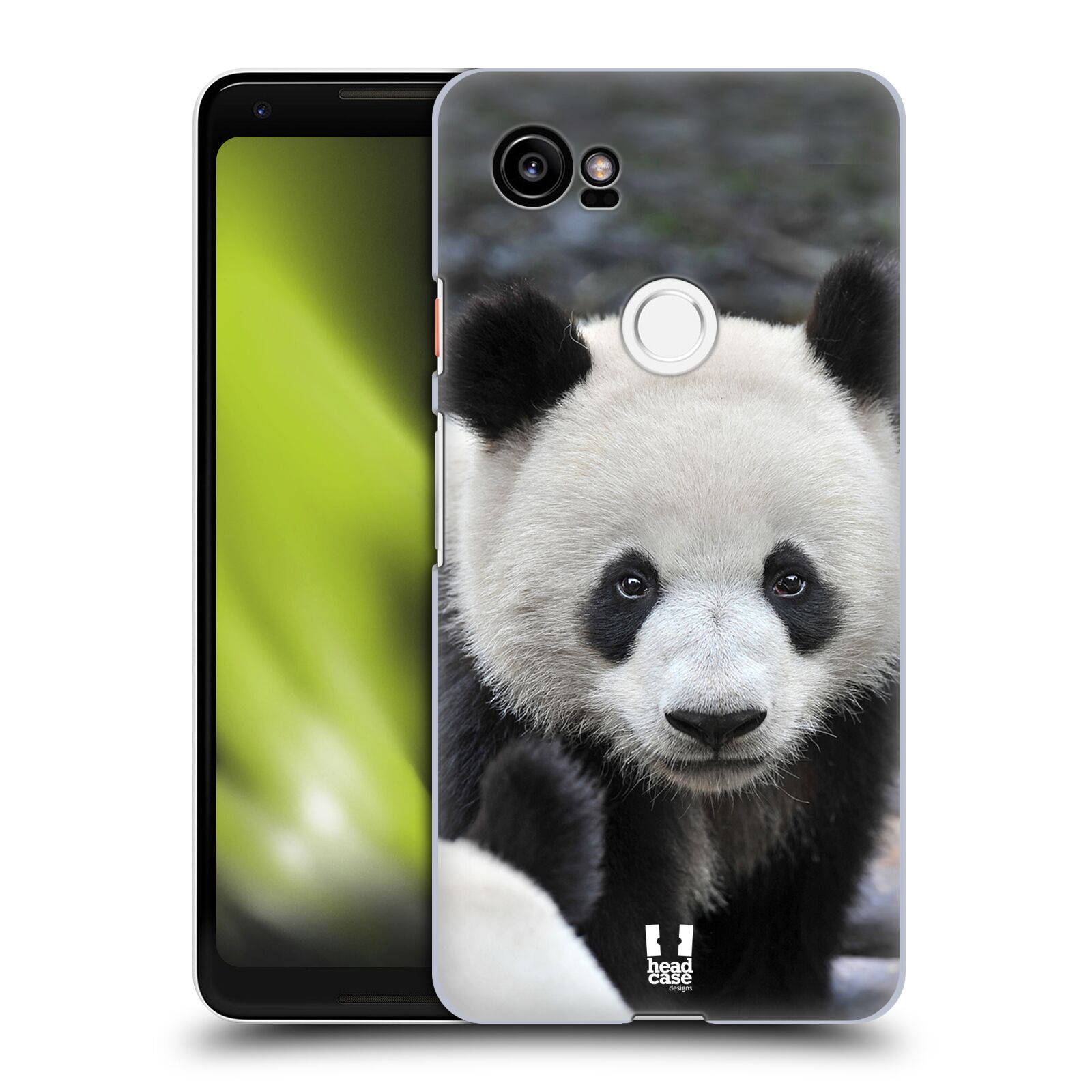 HEAD CASE plastový obal na mobil Google Pixel 2 XL vzor Divočina, Divoký život a zvířata foto MEDVĚD PANDA
