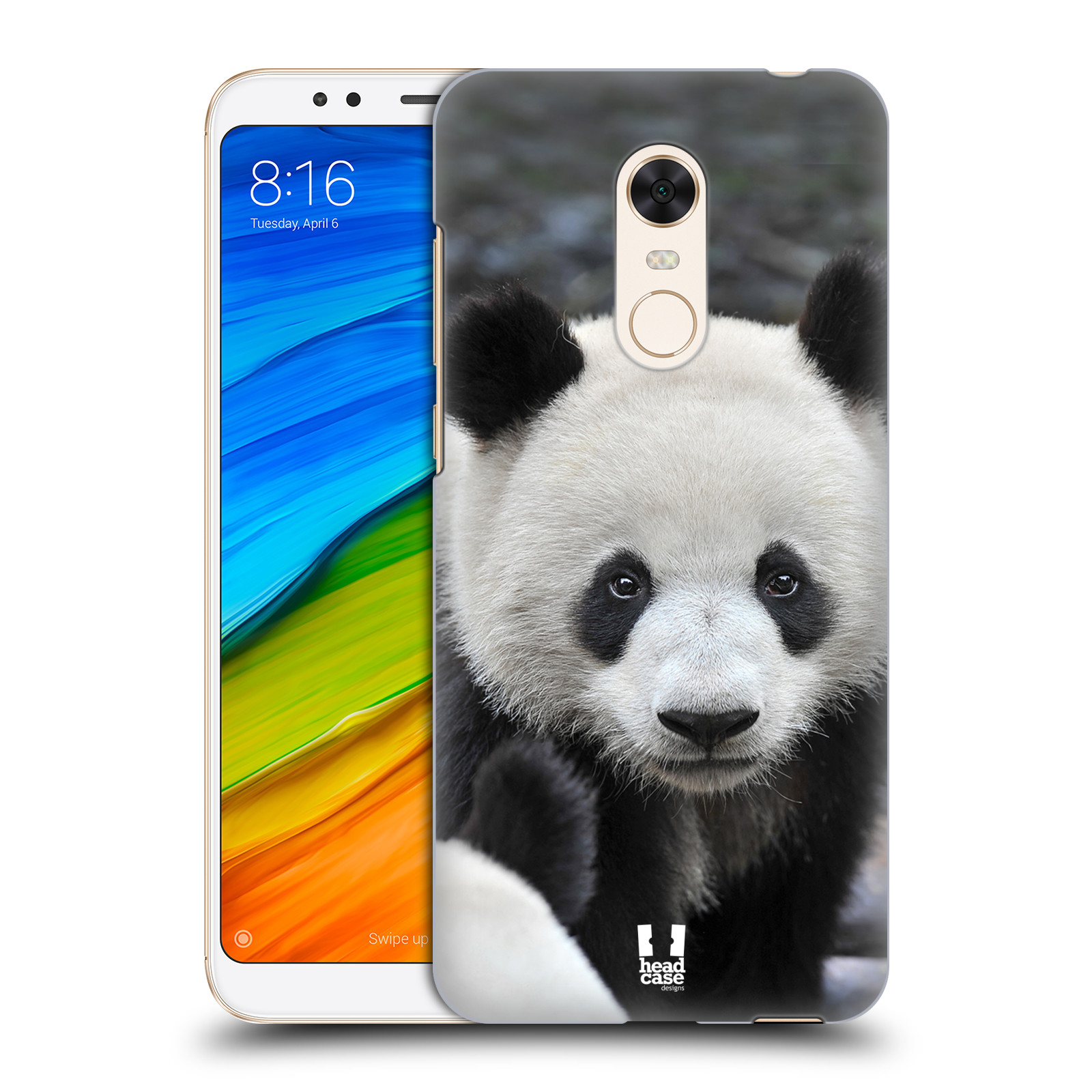 HEAD CASE plastový obal na mobil Xiaomi Redmi 5 PLUS vzor Divočina, Divoký život a zvířata foto MEDVĚD PANDA