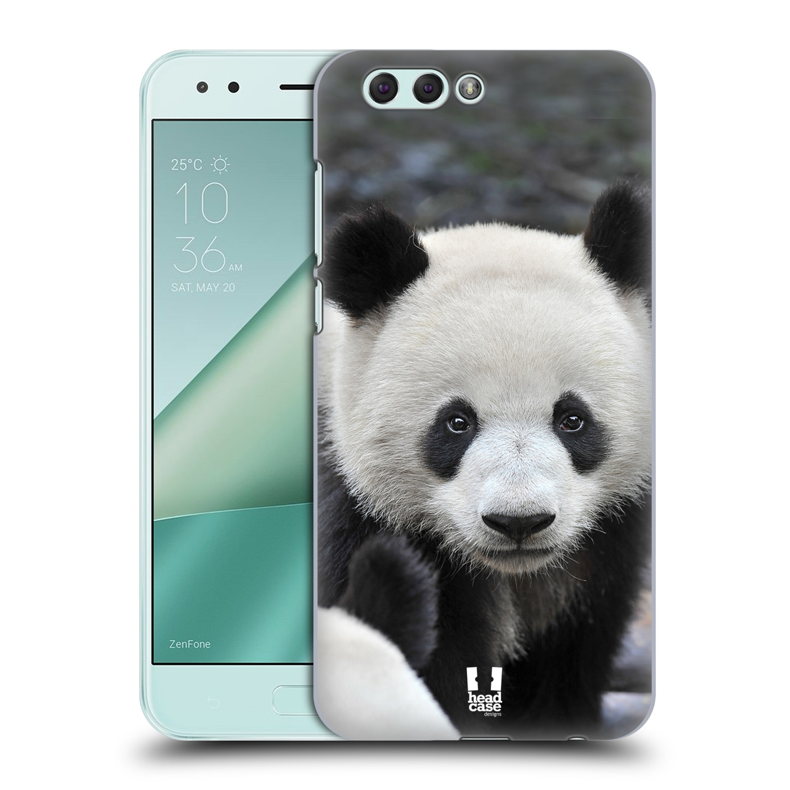 HEAD CASE plastový obal na mobil Asus Zenfone 4 ZE554KL vzor Divočina, Divoký život a zvířata foto MEDVĚD PANDA