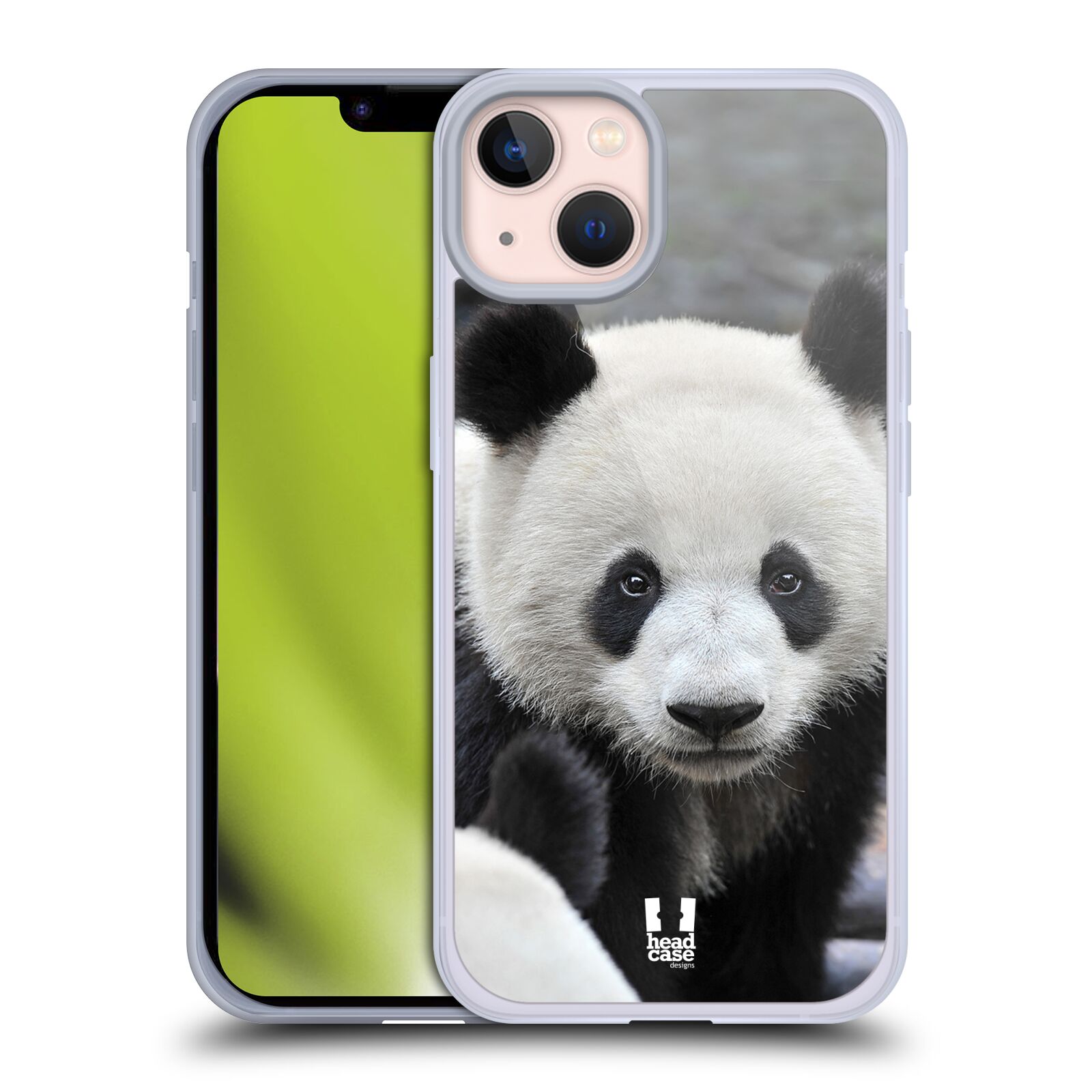Plastový obal HEAD CASE na mobil Apple Iphone 13 vzor Divočina, Divoký život a zvířata foto MEDVĚD PANDA