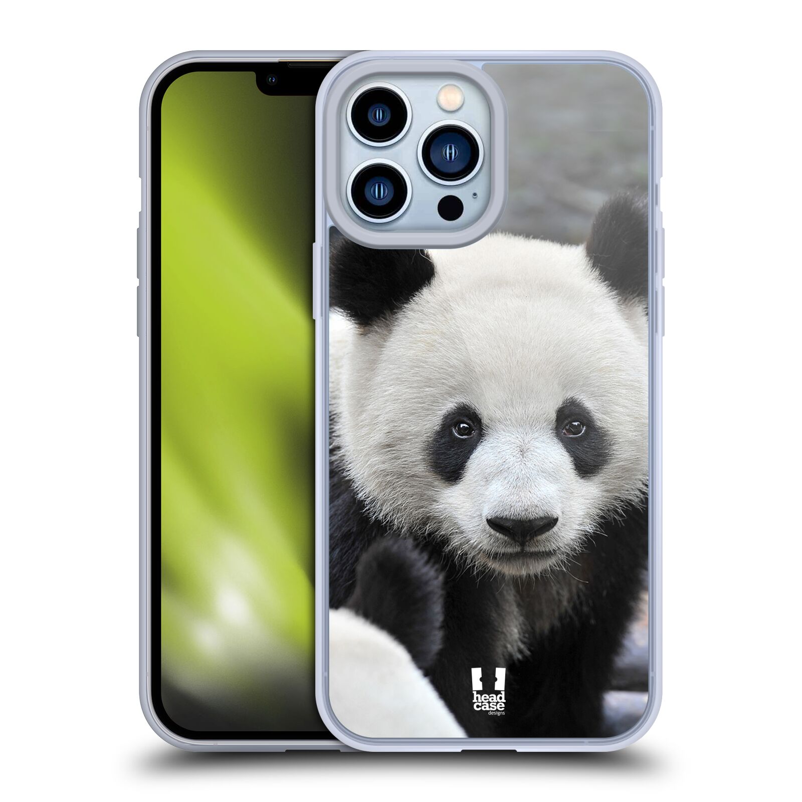 Plastový obal HEAD CASE na mobil Apple Iphone 13 PRO MAX vzor Divočina, Divoký život a zvířata foto MEDVĚD PANDA