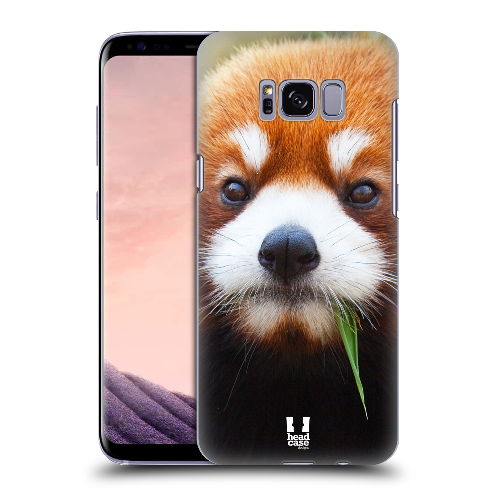 HEAD CASE plastový obal na mobil Samsung Galaxy S8 vzor Divočina, Divoký život a zvířata foto PANDA HNĚDÁ