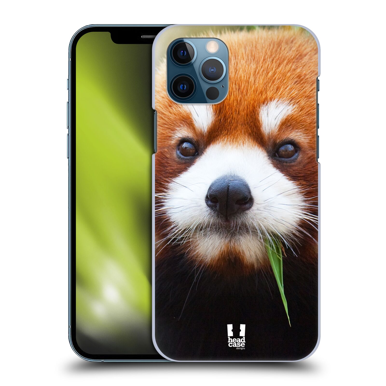 HEAD CASE plastový obal na mobil Apple Iphone 12 / Iphone 12 PRO vzor Divočina, Divoký život a zvířata foto PANDA HNĚDÁ