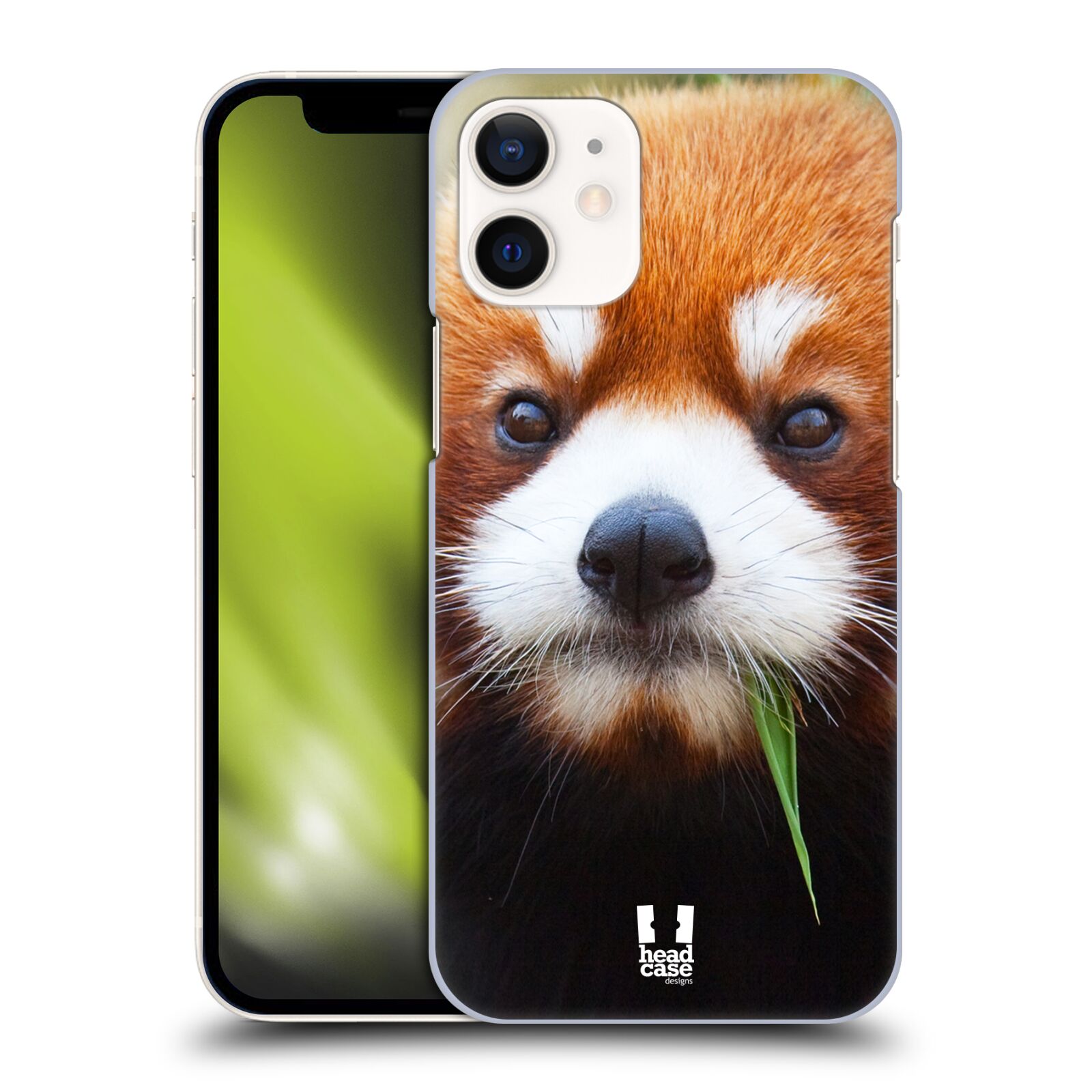 Plastový obal na mobil Apple Iphone 12 MINI vzor Divočina, Divoký život a zvířata foto PANDA HNĚDÁ