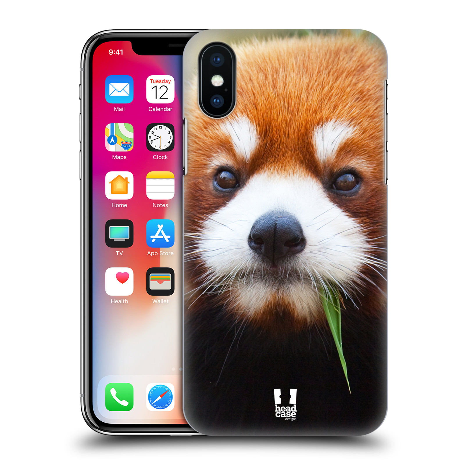 HEAD CASE plastový obal na mobil Apple Iphone X / XS vzor Divočina, Divoký život a zvířata foto PANDA HNĚDÁ