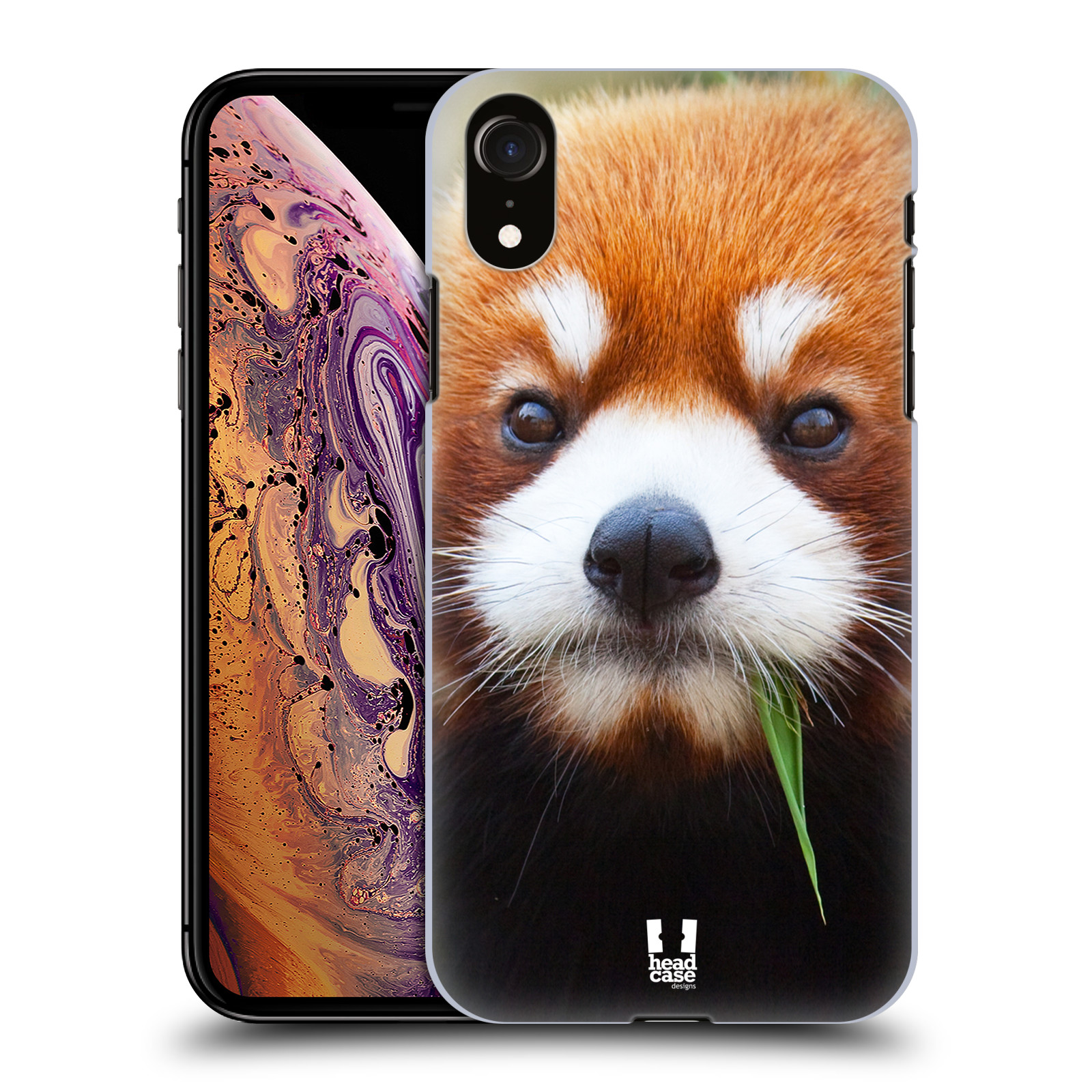 HEAD CASE plastový obal na mobil Apple Iphone XR vzor Divočina, Divoký život a zvířata foto PANDA HNĚDÁ