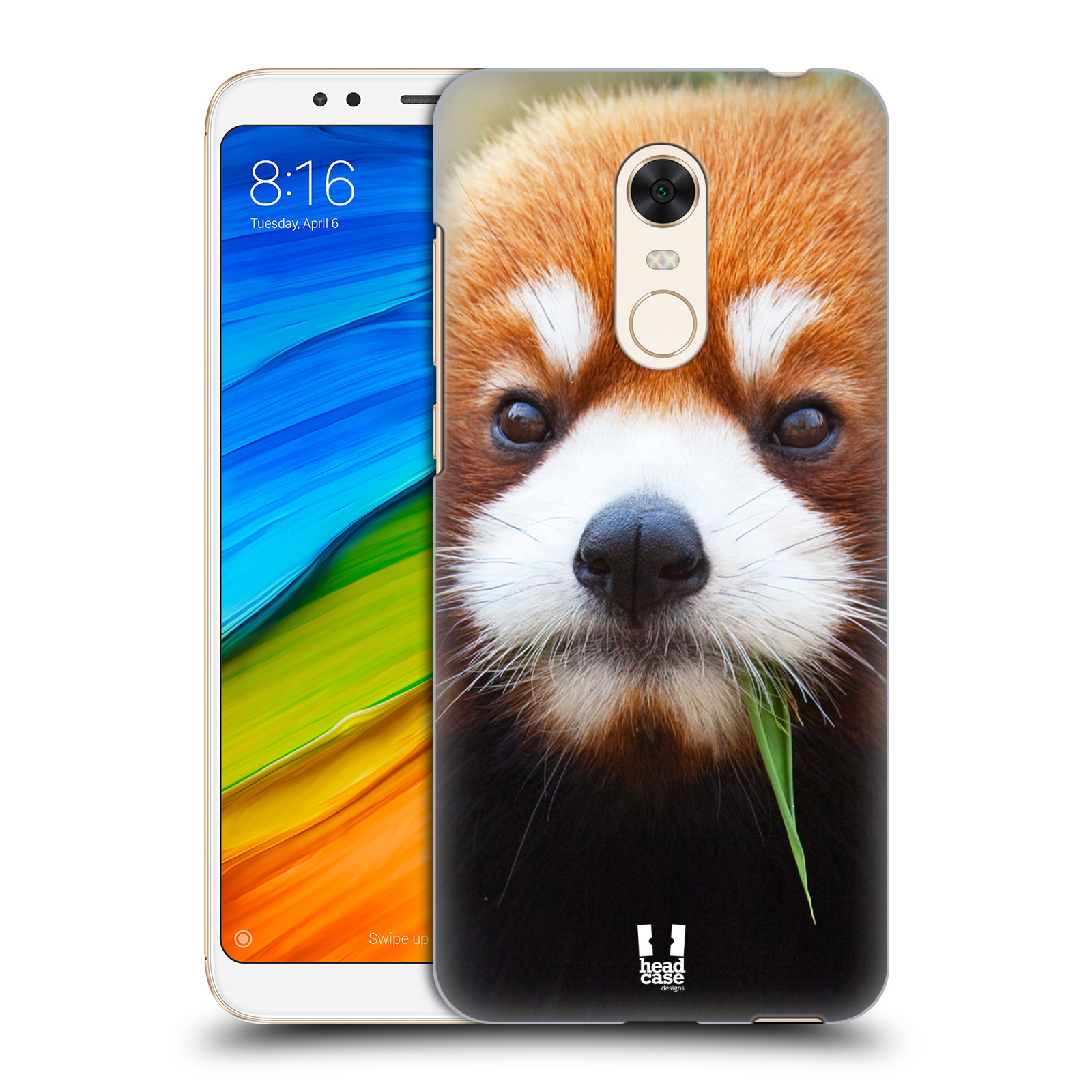 HEAD CASE plastový obal na mobil Xiaomi Redmi 5 PLUS vzor Divočina, Divoký život a zvířata foto PANDA HNĚDÁ