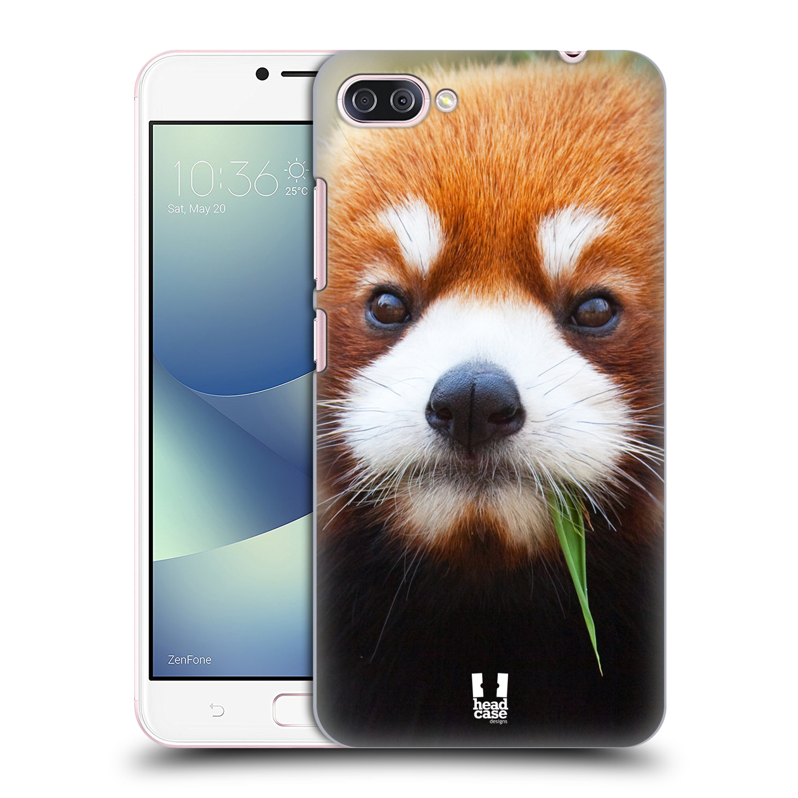 HEAD CASE plastový obal na mobil Asus Zenfone 4 MAX ZC554KL vzor Divočina, Divoký život a zvířata foto PANDA HNĚDÁ