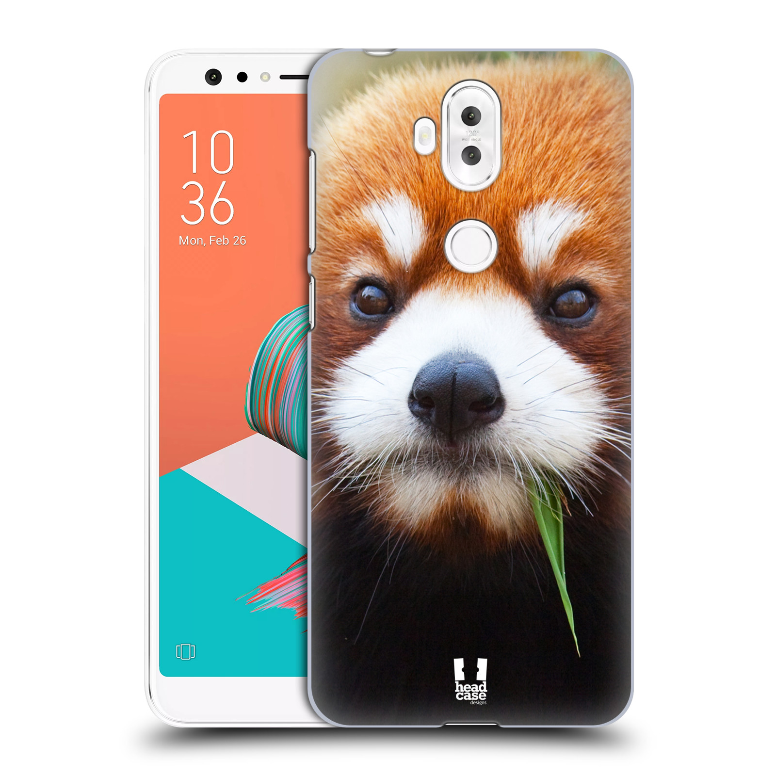HEAD CASE plastový obal na mobil Asus Zenfone 5 LITE ZC600KL vzor Divočina, Divoký život a zvířata foto PANDA HNĚDÁ