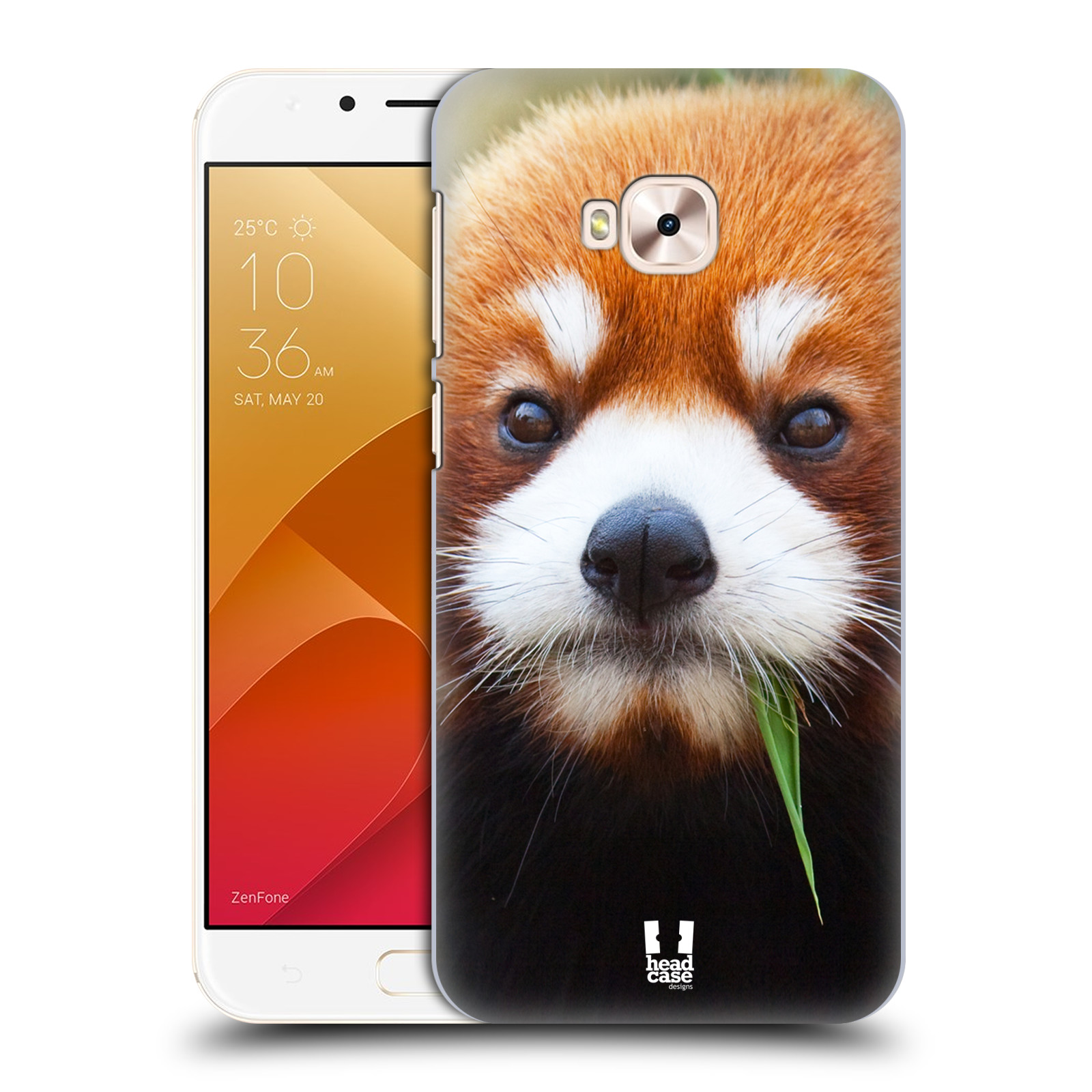 HEAD CASE plastový obal na mobil Asus Zenfone 4 Selfie Pro ZD552KL vzor Divočina, Divoký život a zvířata foto PANDA HNĚDÁ