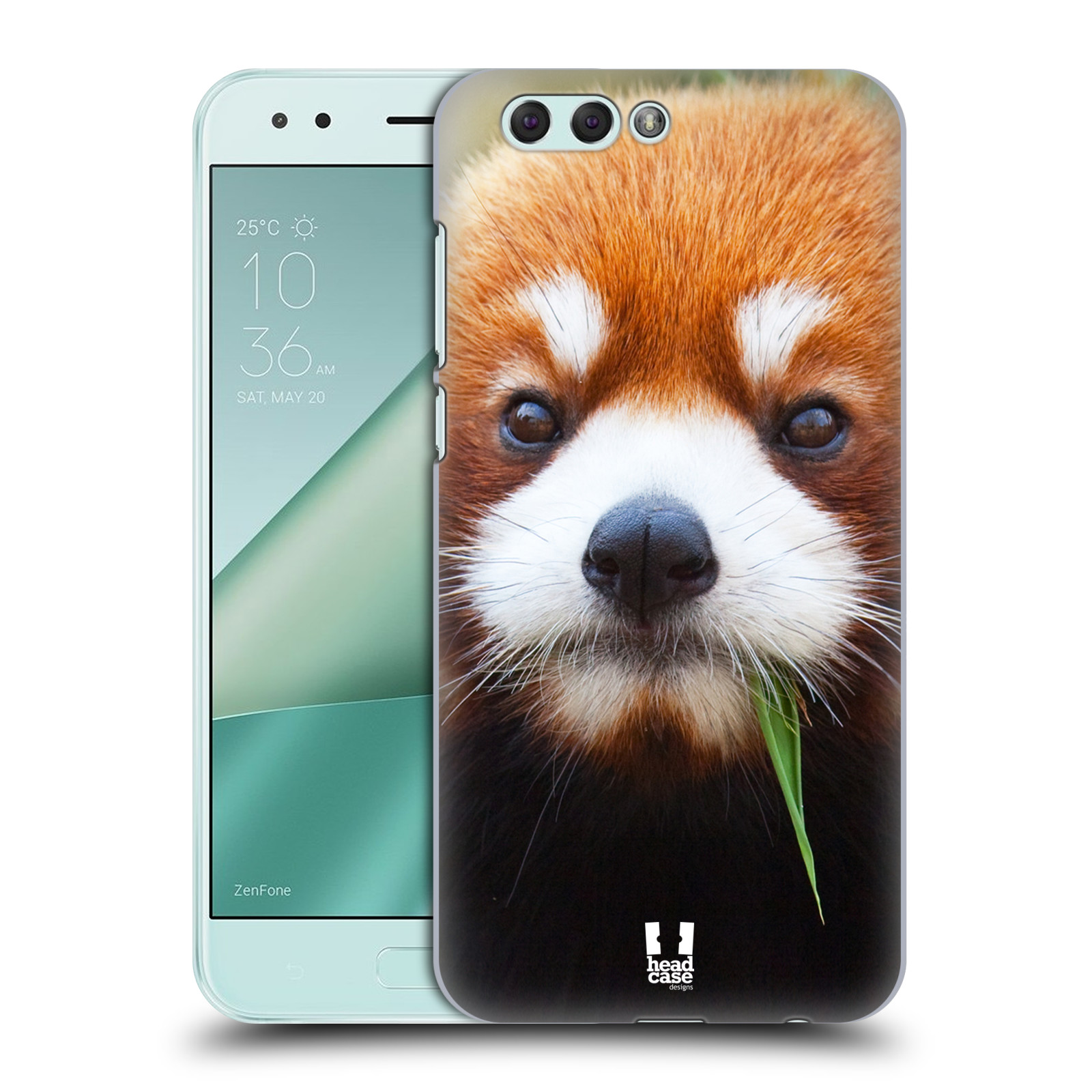 HEAD CASE plastový obal na mobil Asus Zenfone 4 ZE554KL vzor Divočina, Divoký život a zvířata foto PANDA HNĚDÁ