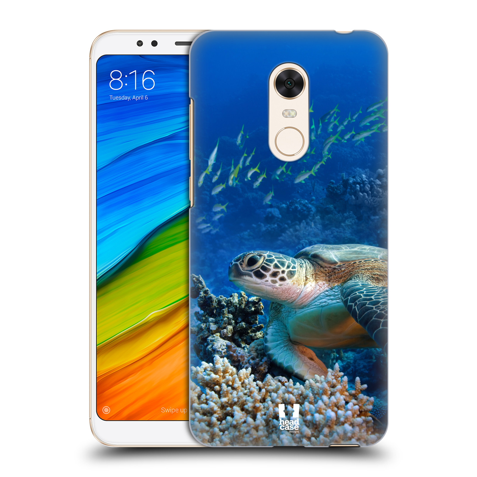 HEAD CASE plastový obal na mobil Xiaomi Redmi 5 PLUS vzor Divočina, Divoký život a zvířata foto MOŘSKÁ ŽELVA MODRÁ PODMOŘSKÁ HLADINA