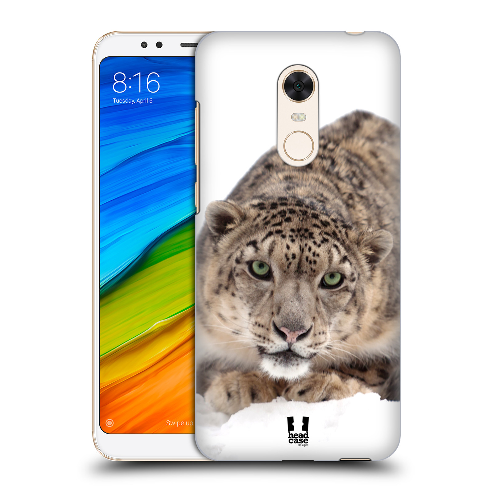 HEAD CASE plastový obal na mobil Xiaomi Redmi 5 PLUS vzor Divočina, Divoký život a zvířata foto SNĚŽNÝ LEOPARD