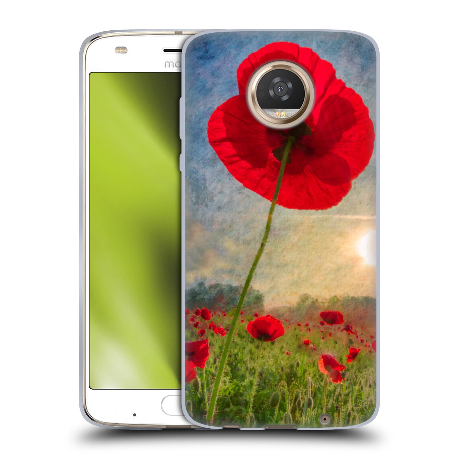 Bild 15 von 19
