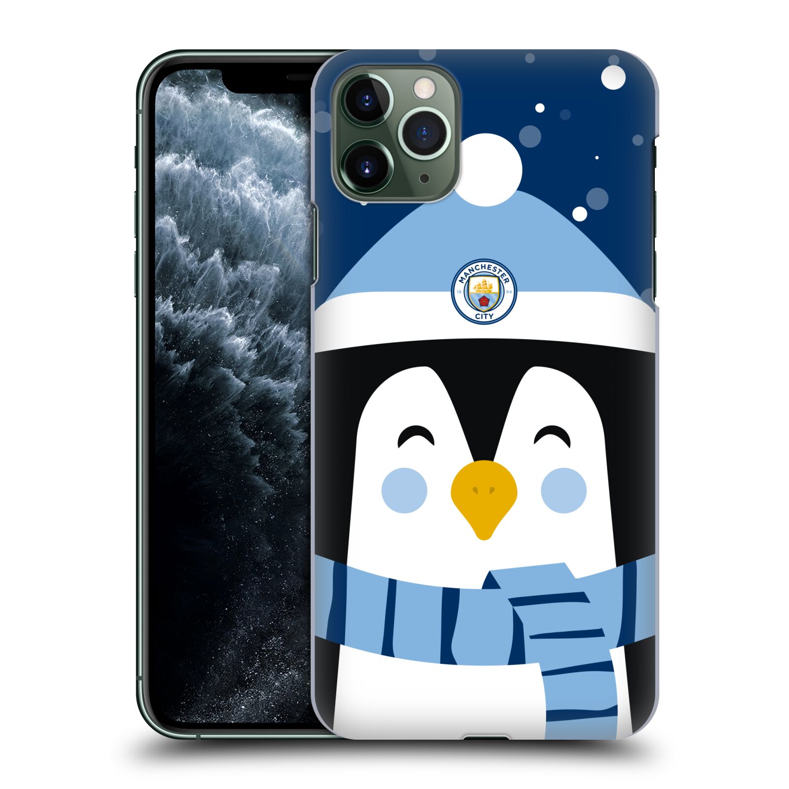OFFICIAL MANCHESTER CITY MAN CITY FC CHRISTMAS HARD BACK CASE FOR GOOGLE PHONES - Picture 11 of 12