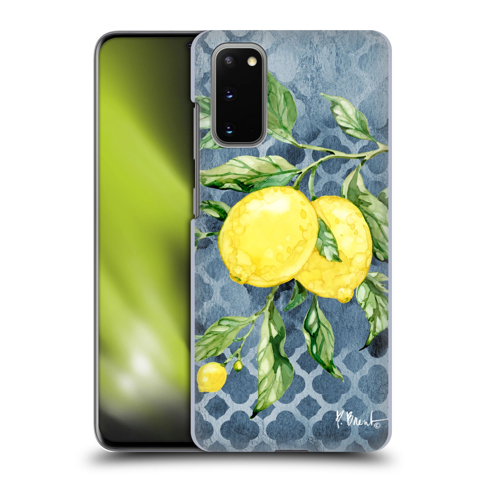 OFFICIAL PAUL BRENT WILDERNESS HARD BACK CASE FOR SAMSUNG PHONES 1 - Picture 8 of 11