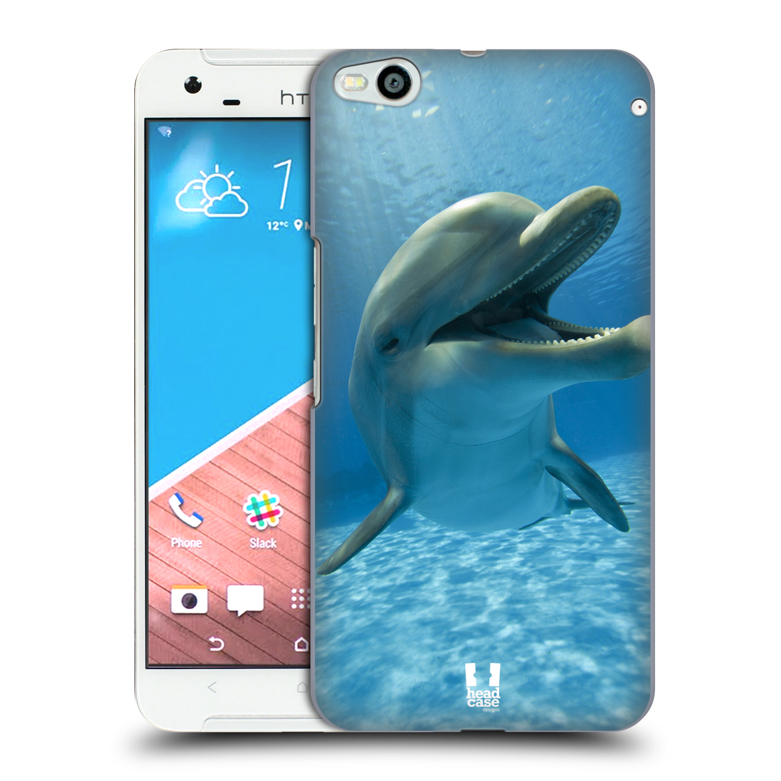 HEAD CASE DESIGNS WILDLIFE HARD BACK CASE & WALLPAPER FOR HTC PHONES 2 - 第 10/32 張圖片