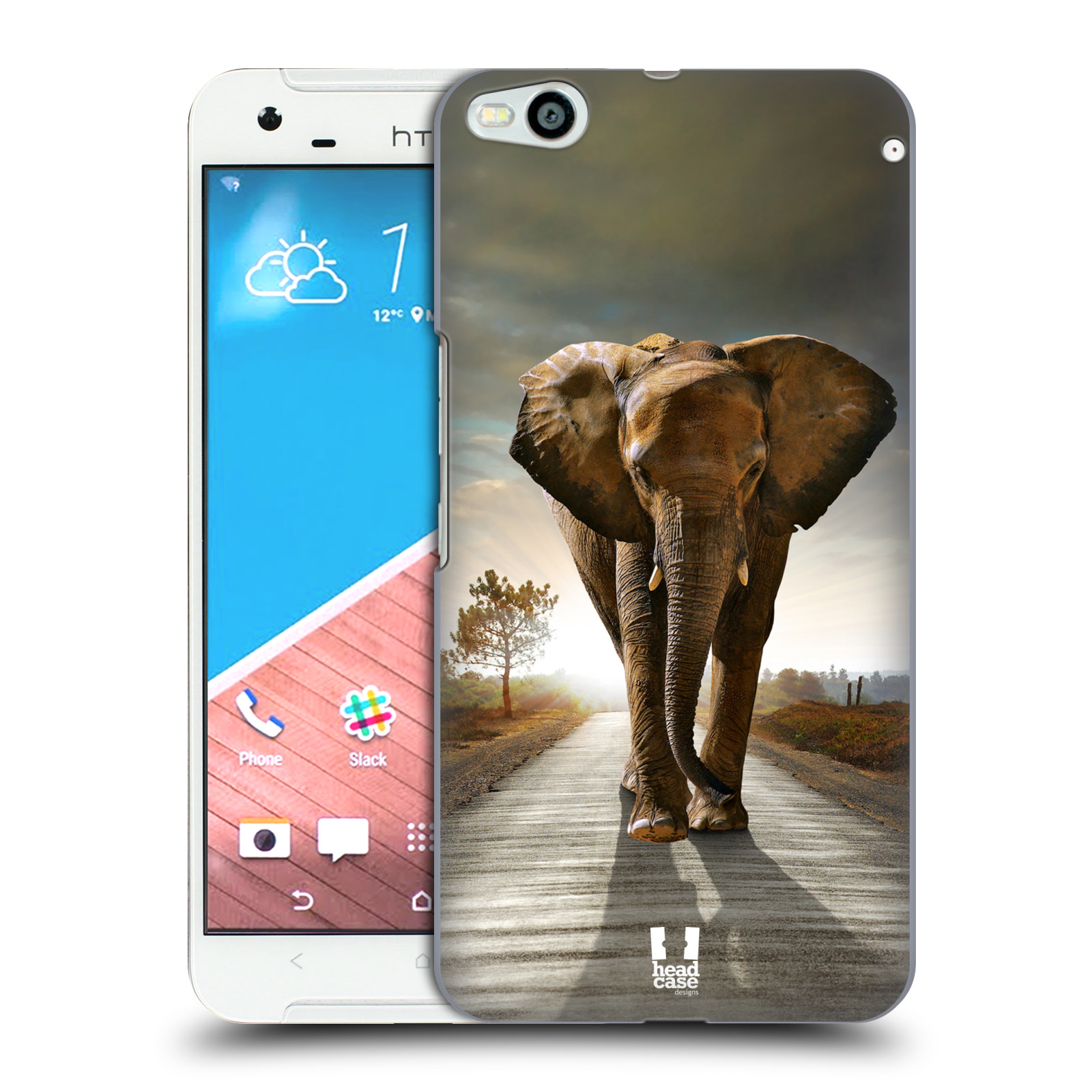 HEAD CASE DESIGNS WILDLIFE HARD BACK CASE & WALLPAPER FOR HTC PHONES 2 - 第 12/32 張圖片
