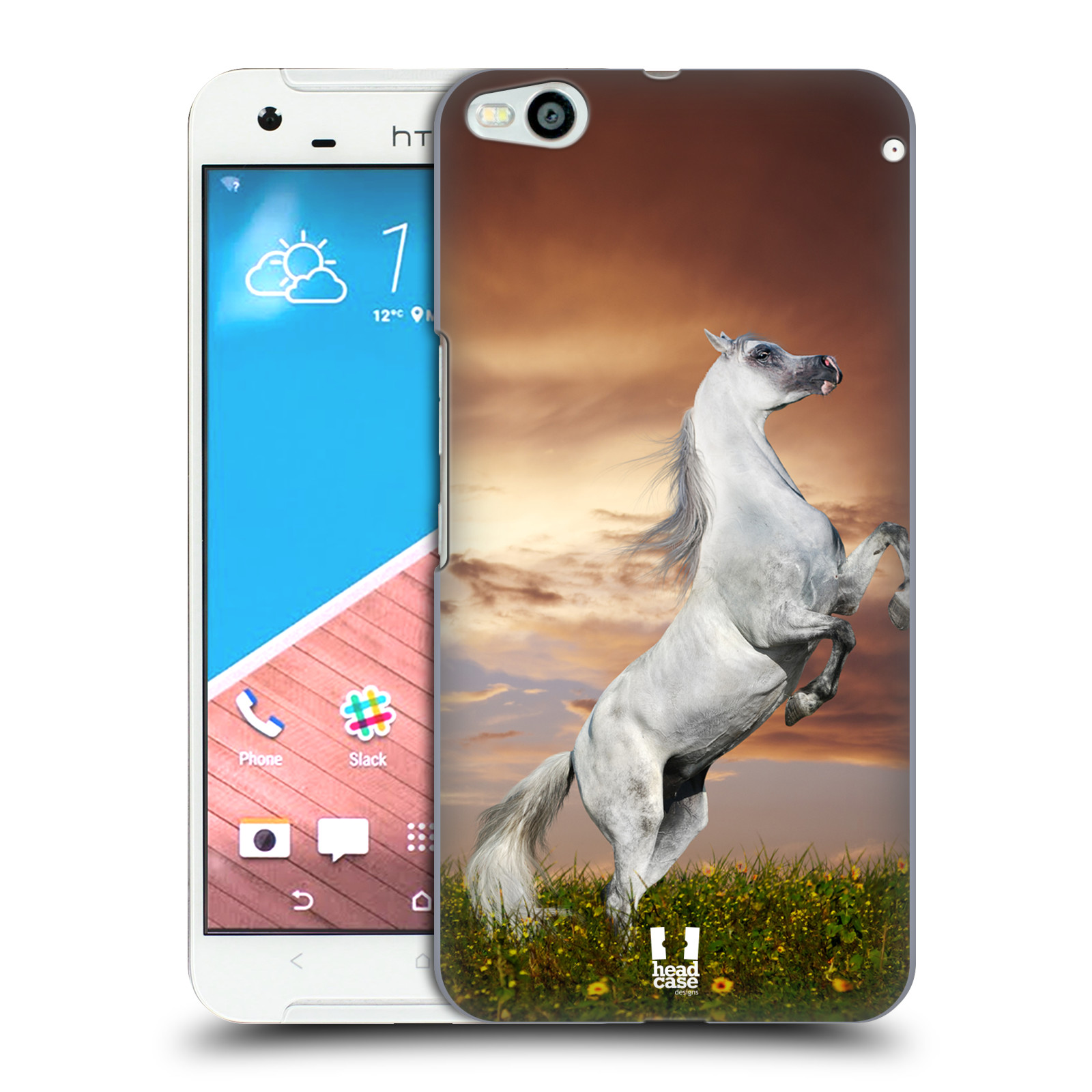 HEAD CASE DESIGNS WILDLIFE HARD BACK CASE & WALLPAPER FOR HTC PHONES 2 - 第 17/32 張圖片