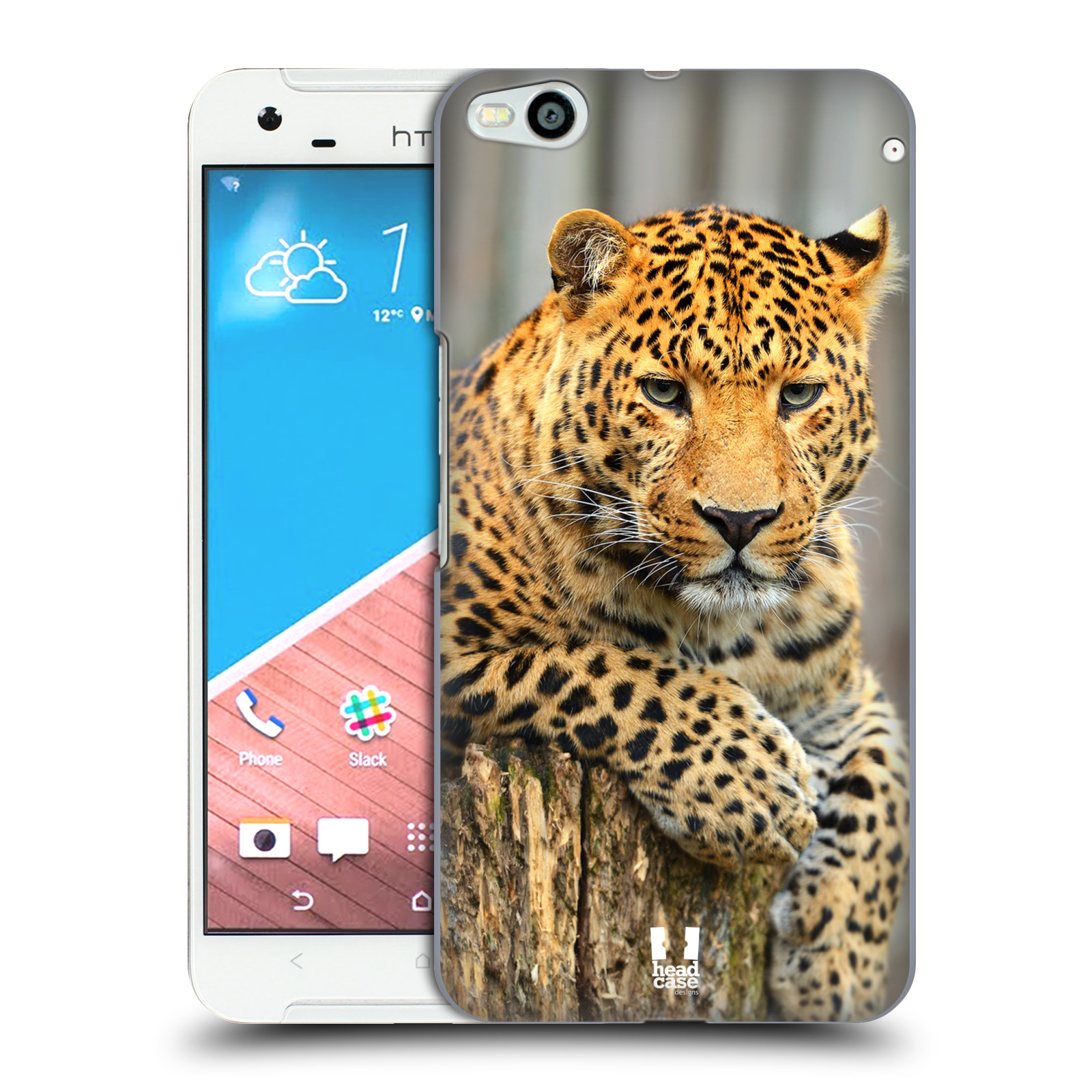 HEAD CASE DESIGNS WILDLIFE HARD BACK CASE & WALLPAPER FOR HTC PHONES 2 - 第 18/32 張圖片