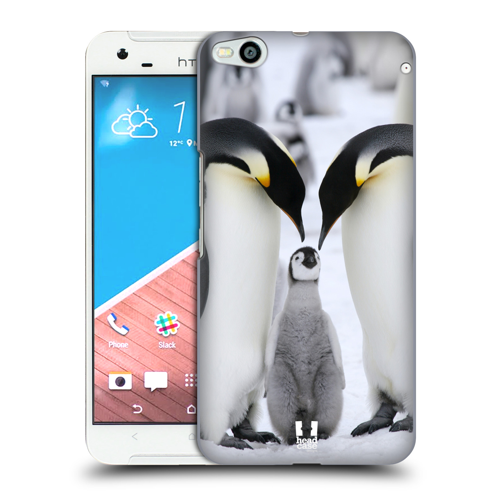 HEAD CASE DESIGNS WILDLIFE HARD BACK CASE & WALLPAPER FOR HTC PHONES 2 - 第 24/32 張圖片