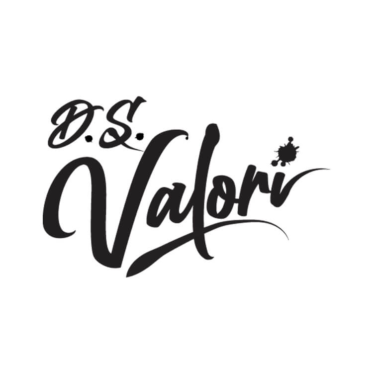 D.S. Valori Logo